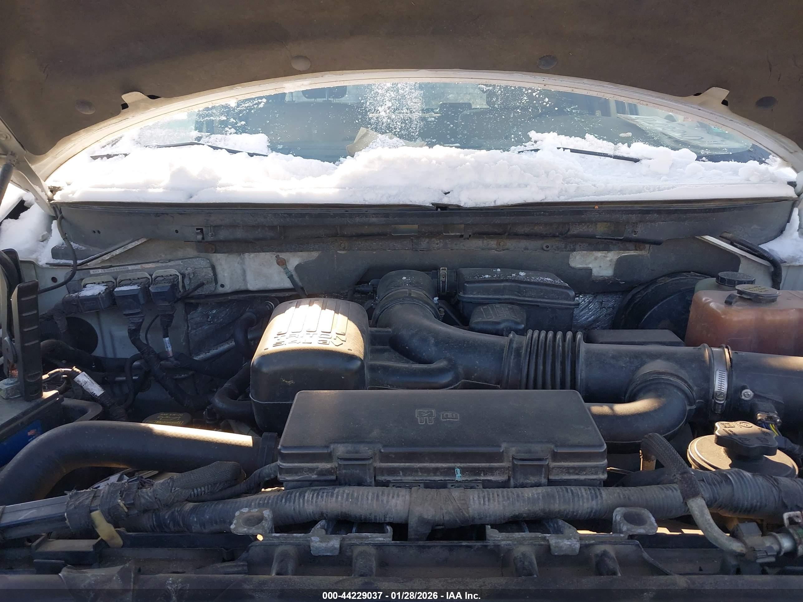 FORD F-150 image 10