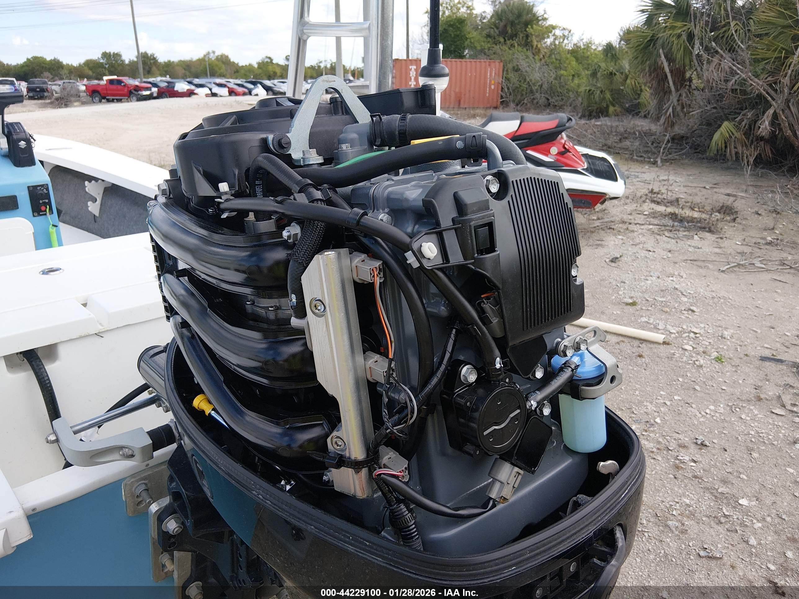 MITZI SKIFF image 10