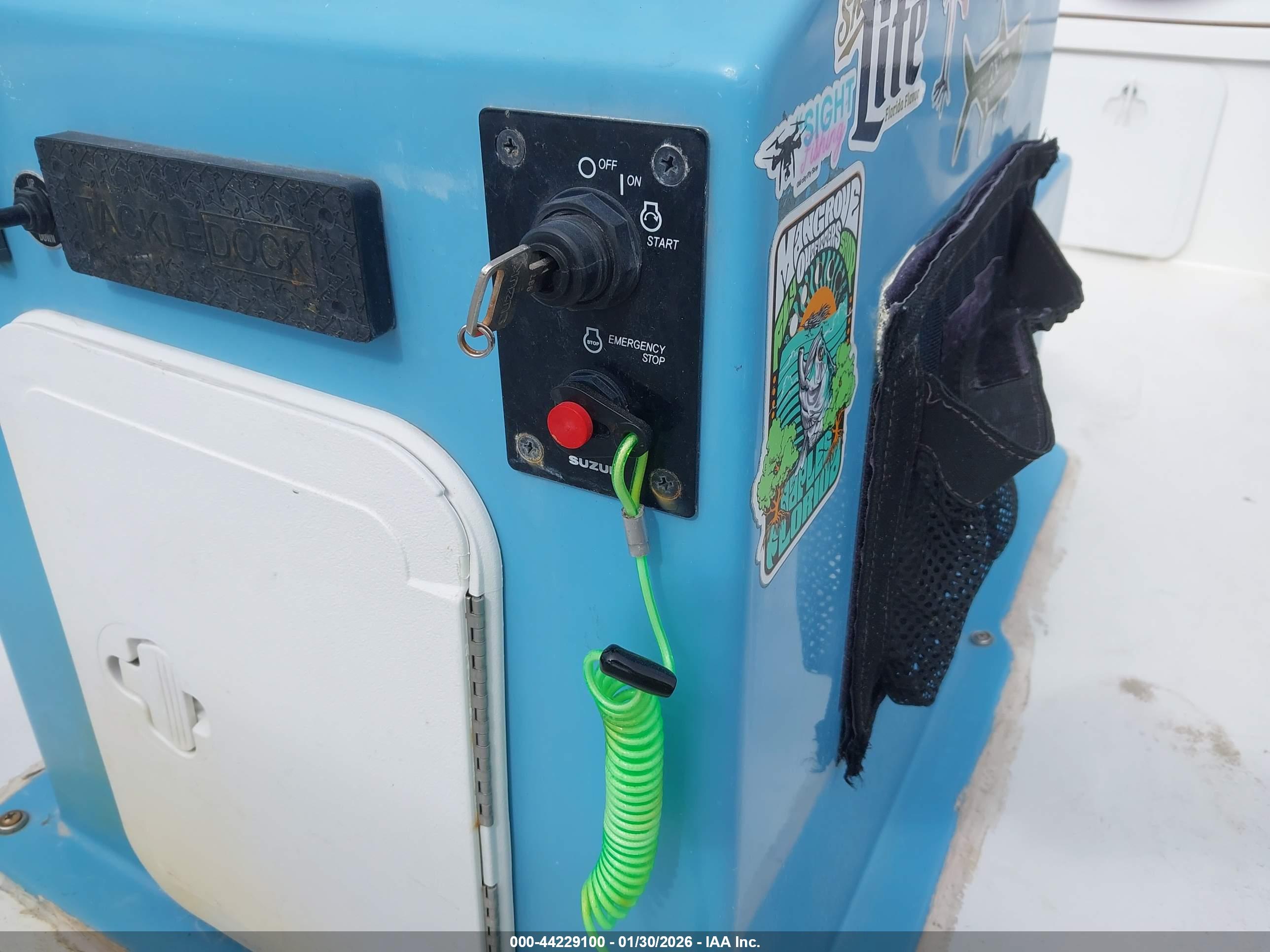 MITZI SKIFF image 11
