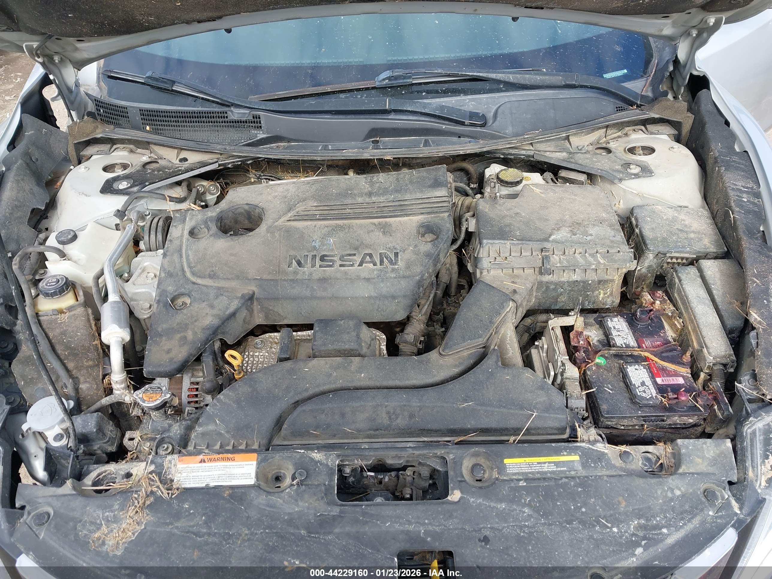 NISSAN ALTIMA image 10