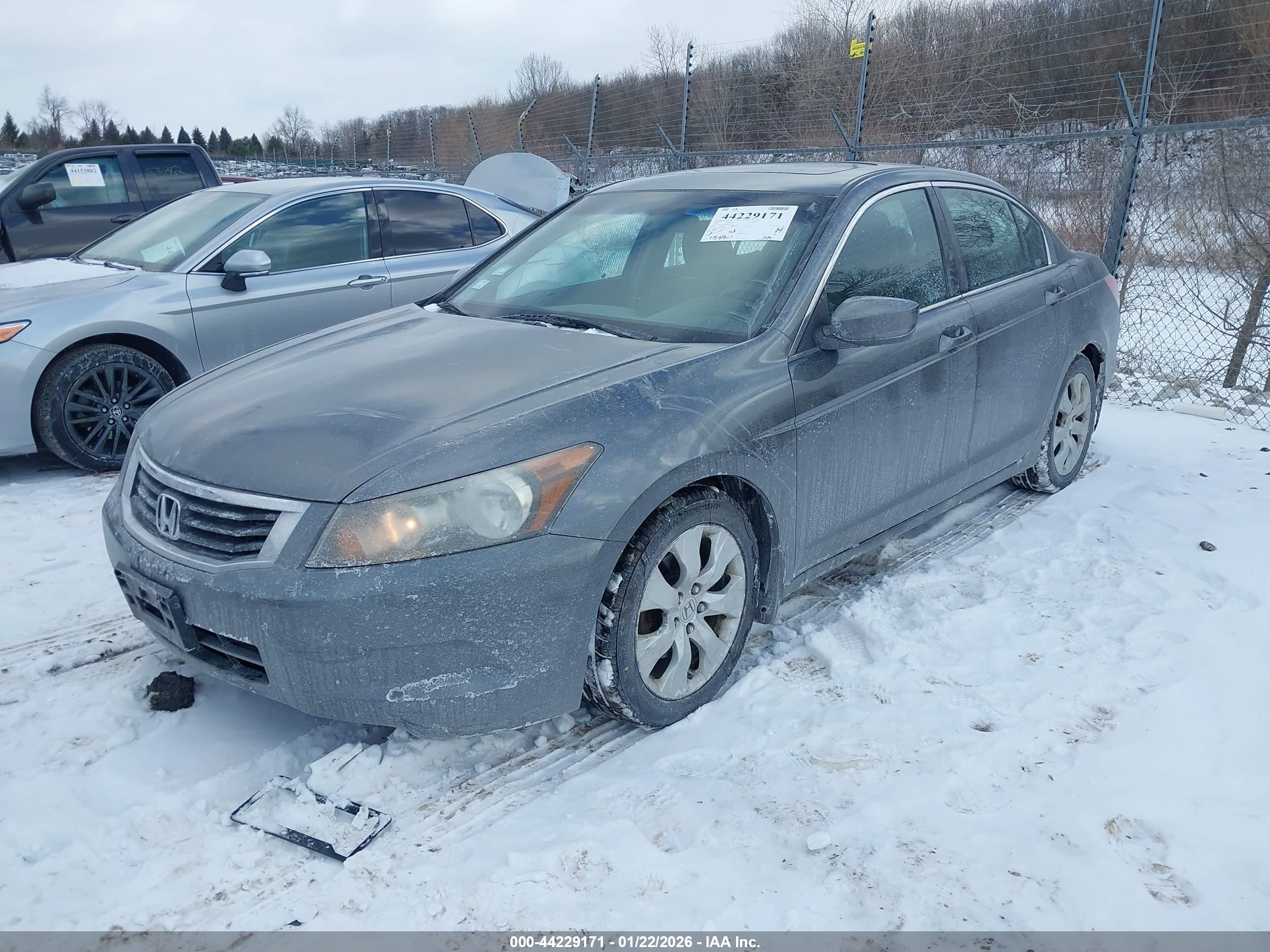 HONDA ACCORD image 2