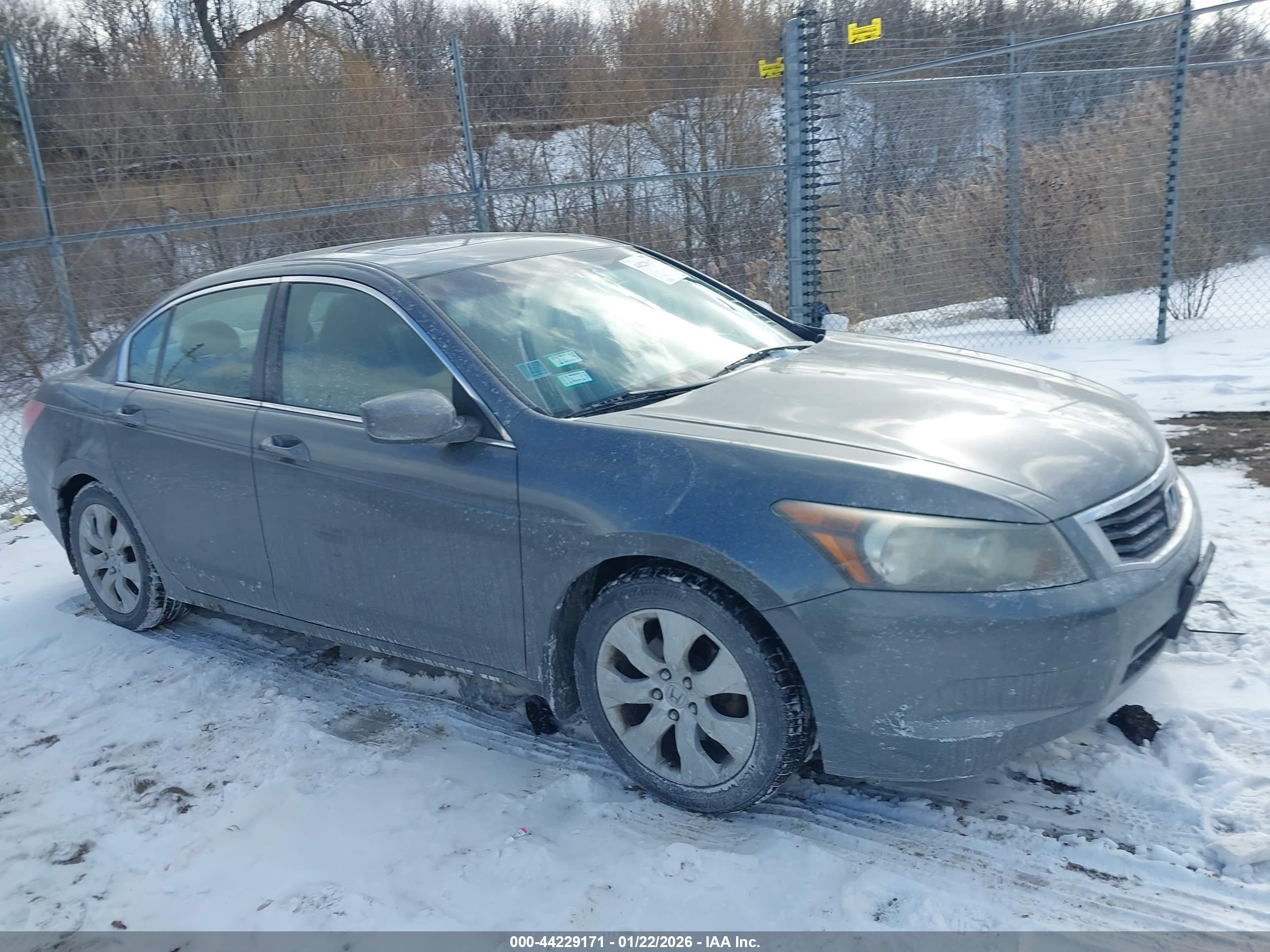 HONDA ACCORD image 6