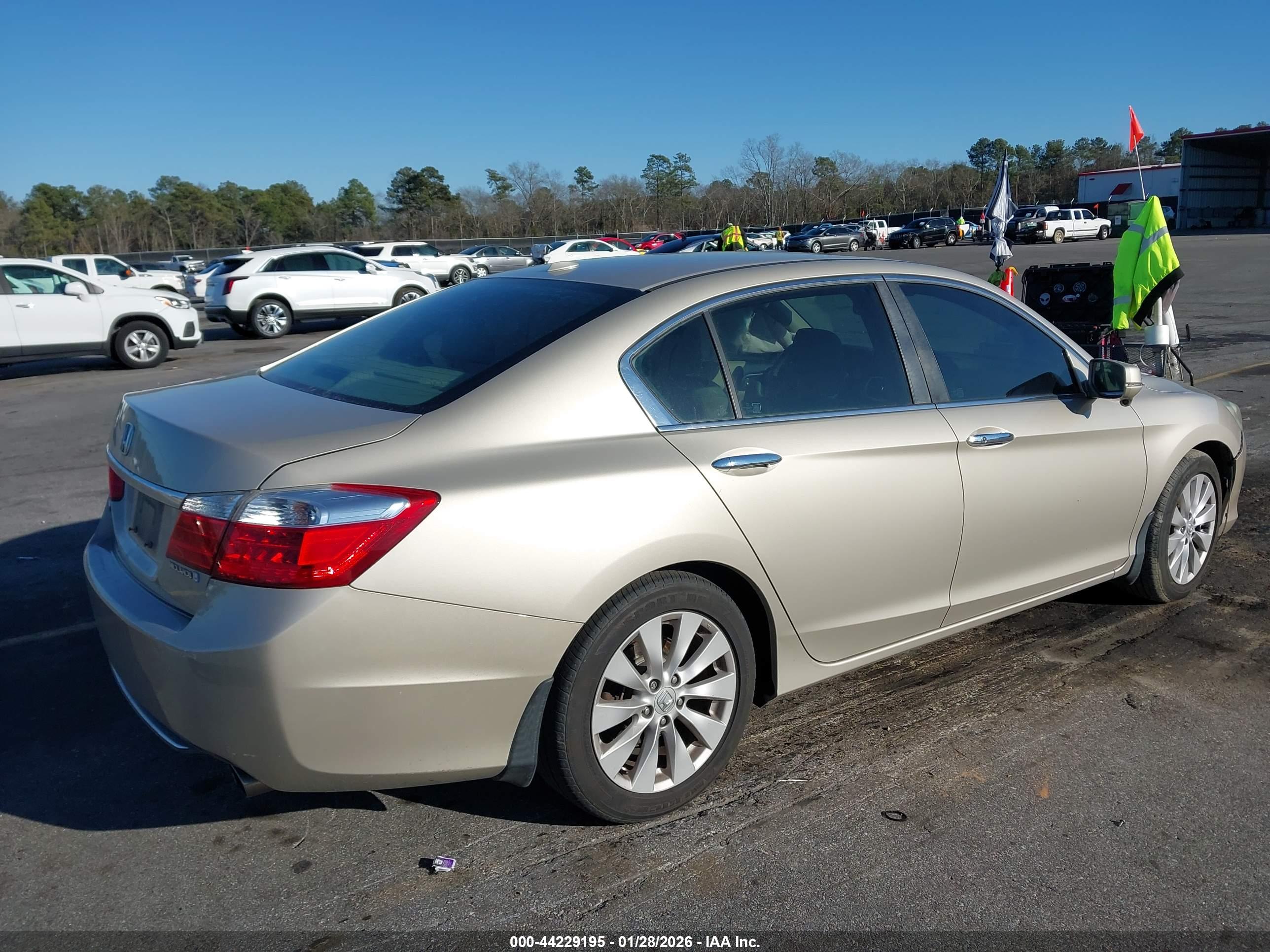 HONDA ACCORD image 4