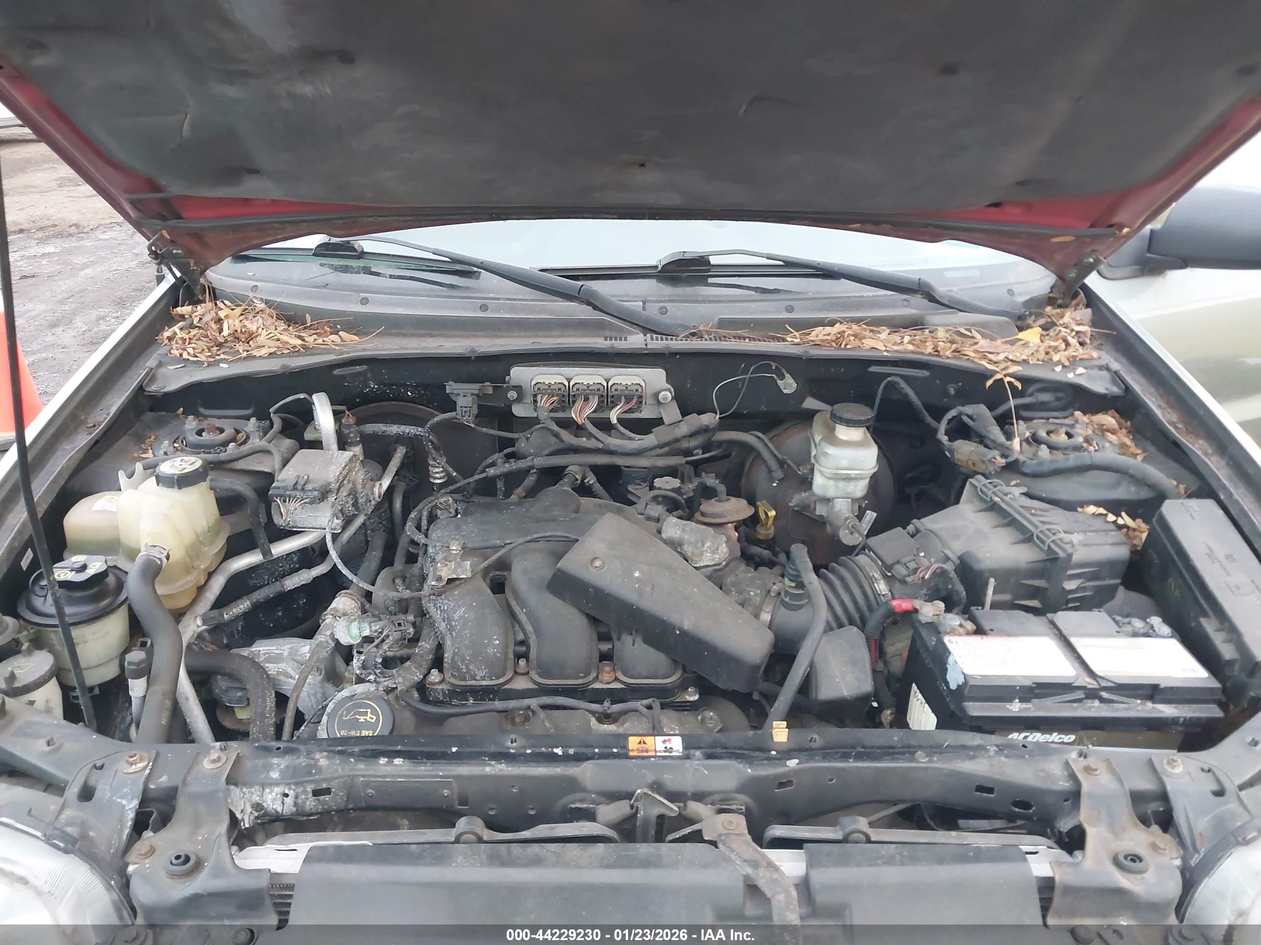 FORD ESCAPE image 10