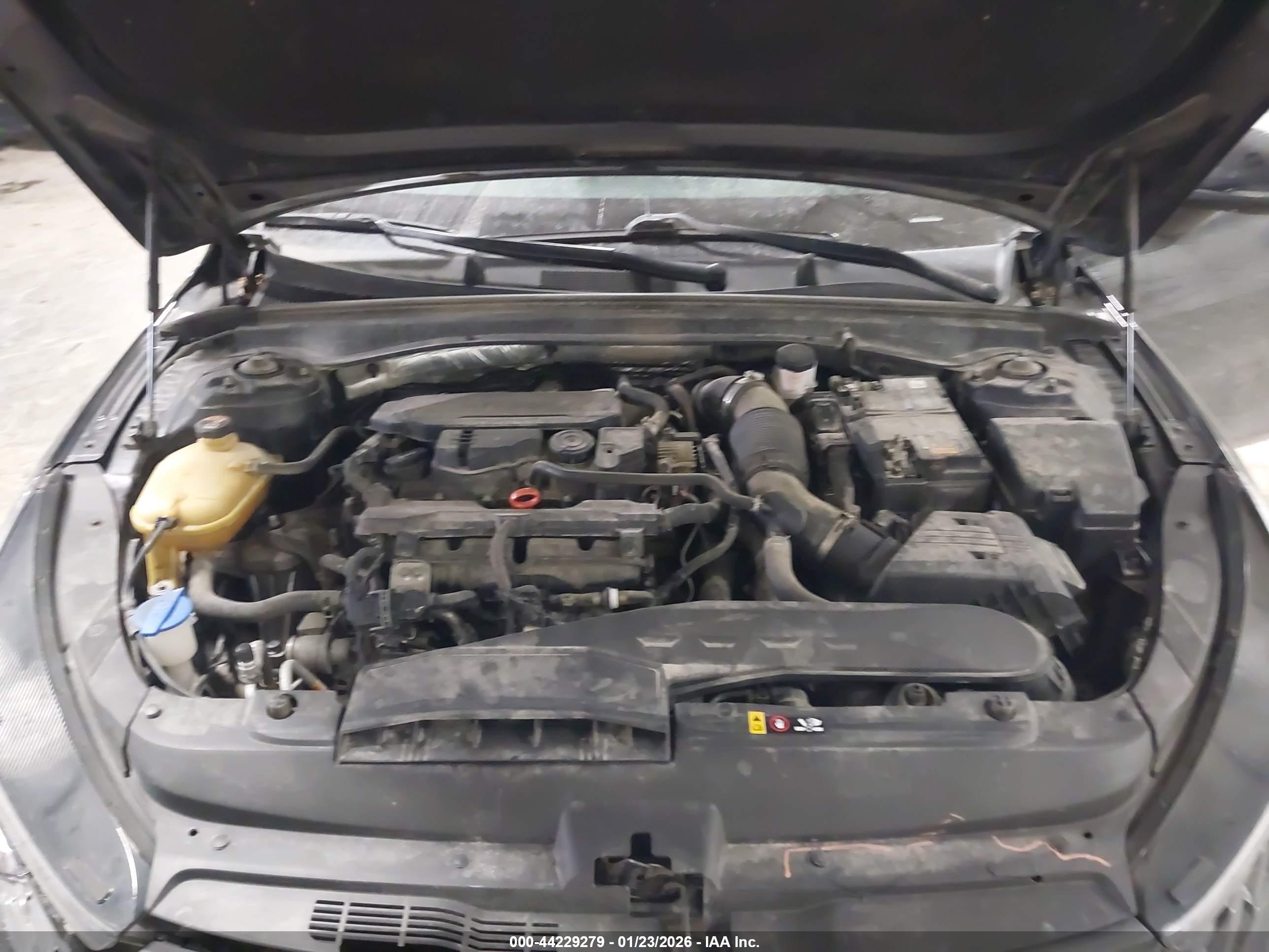 KIA K5 image 10
