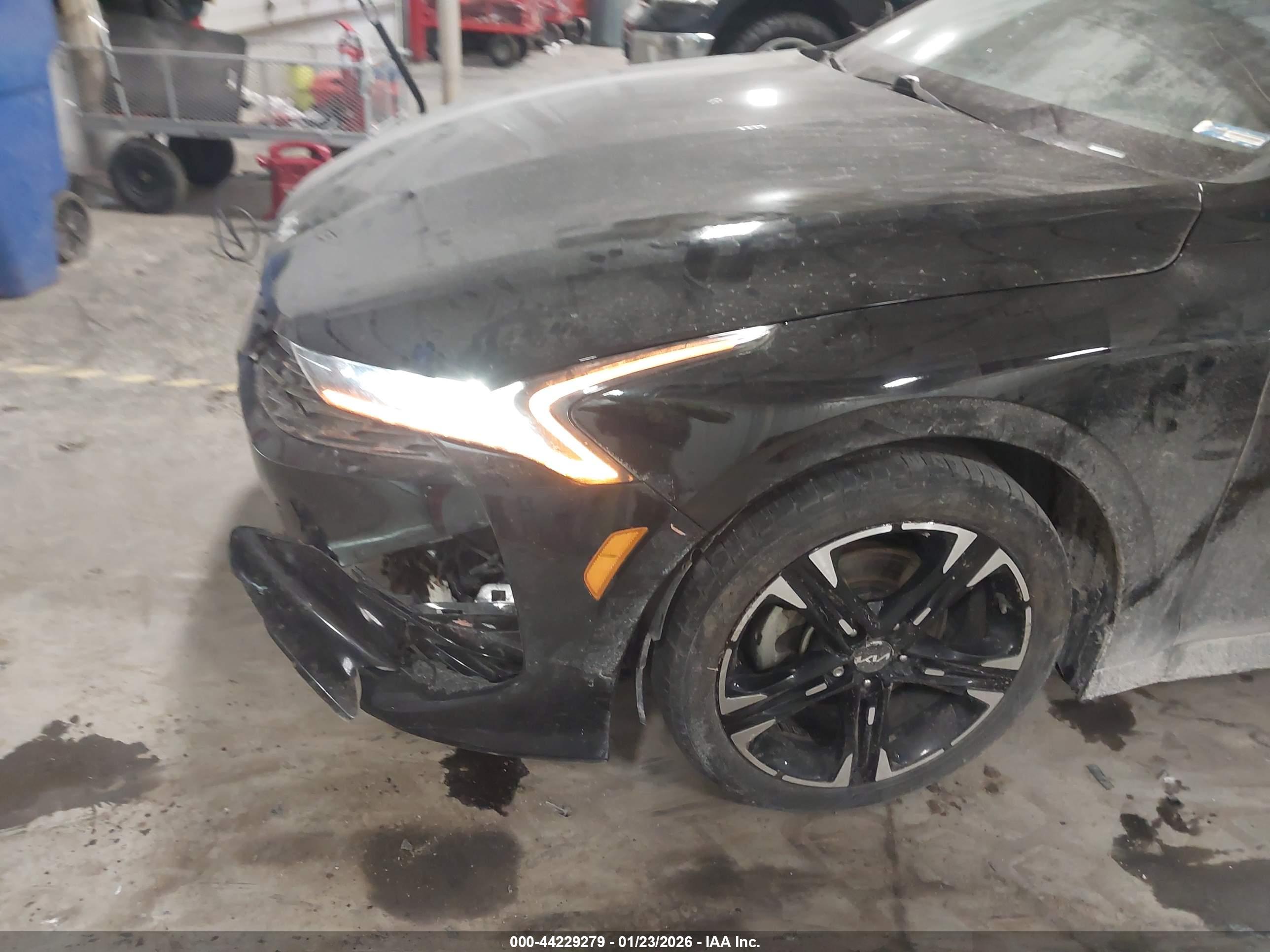 KIA K5 image 6