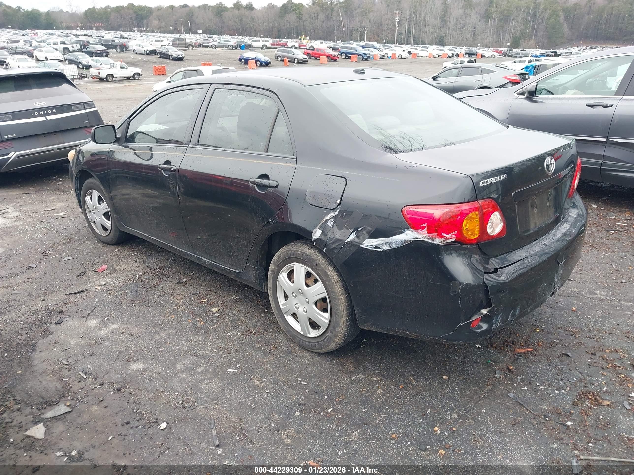 TOYOTA COROLLA image 3
