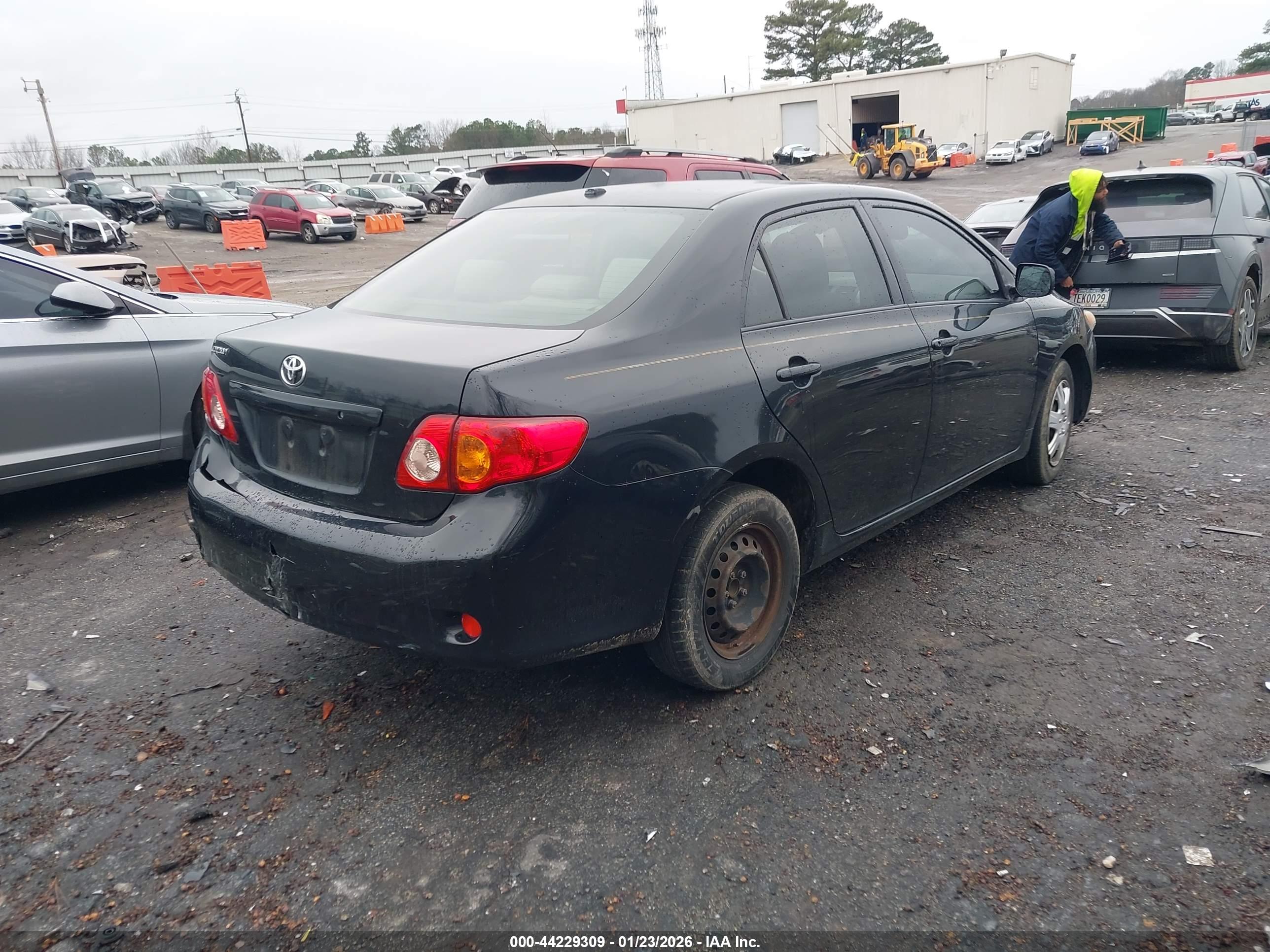 TOYOTA COROLLA image 4