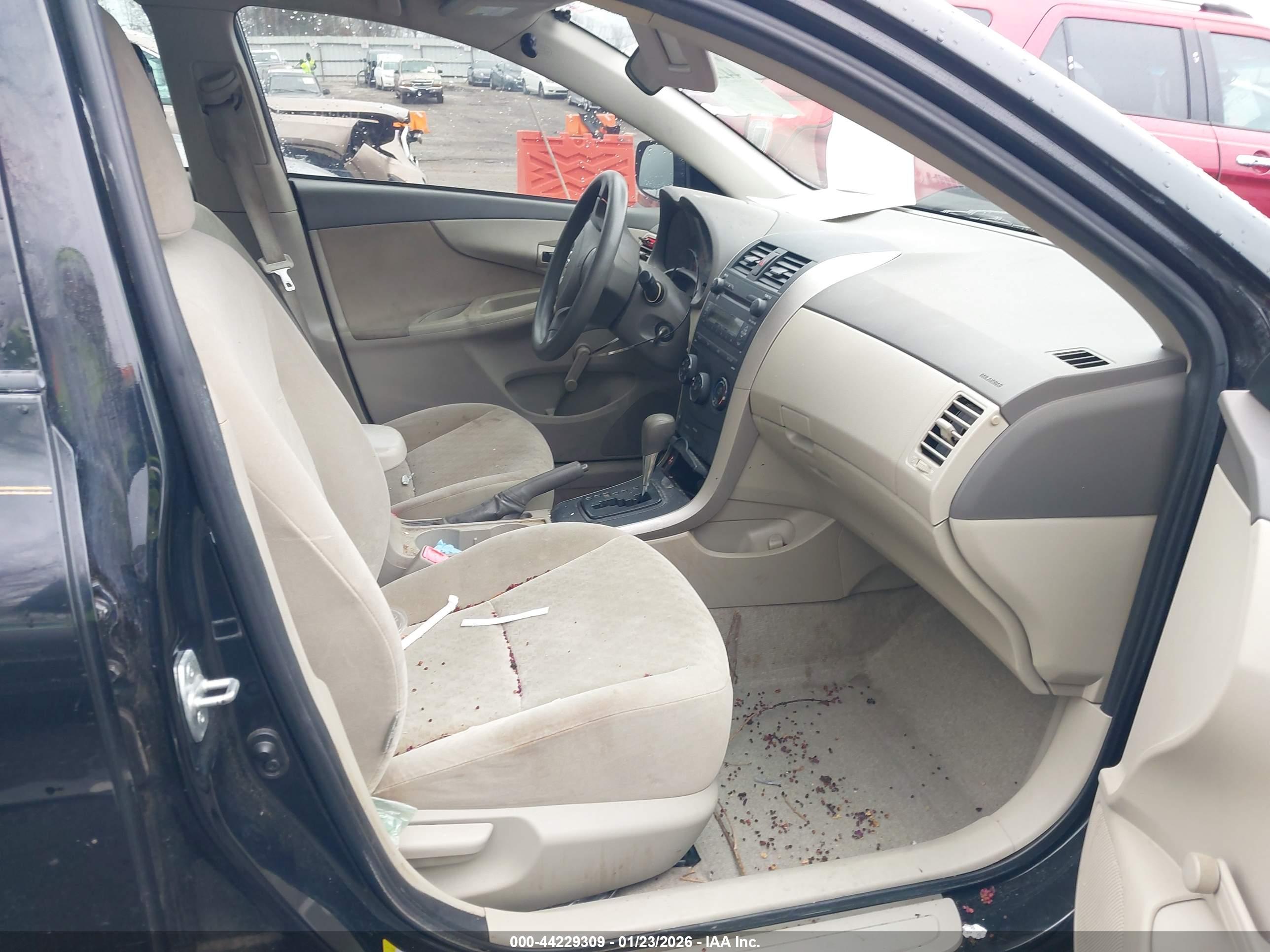 TOYOTA COROLLA image 5