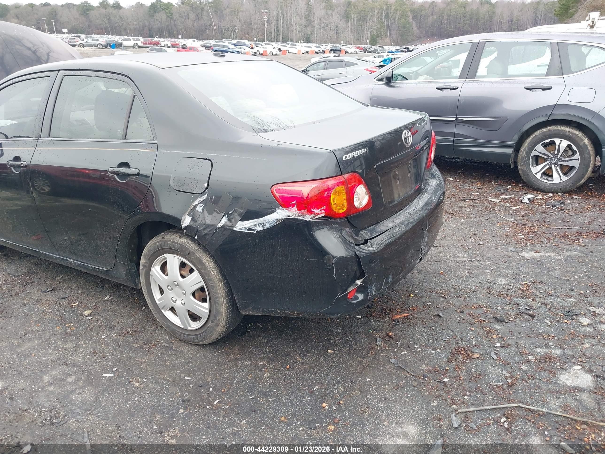 TOYOTA COROLLA image 6