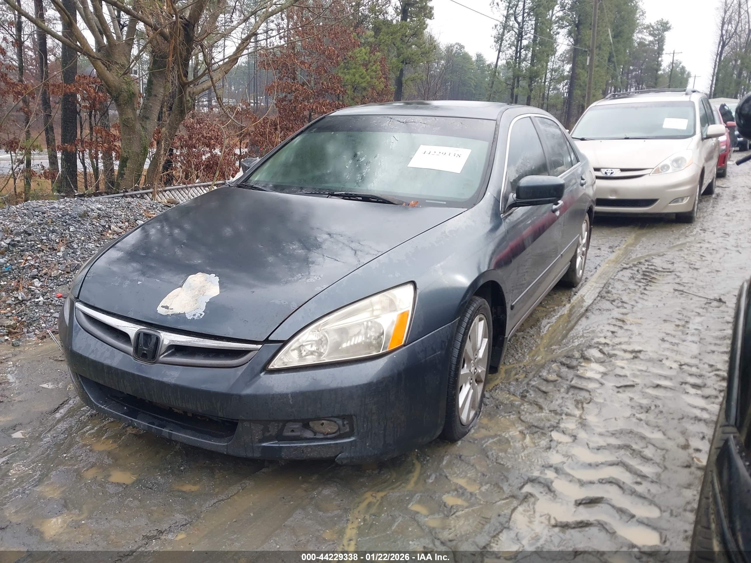HONDA ACCORD image 2