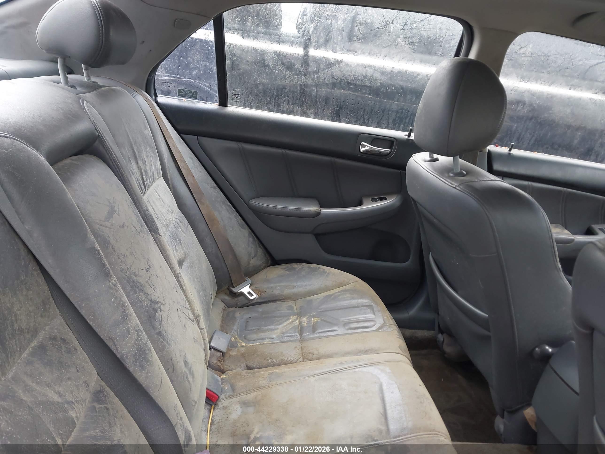 HONDA ACCORD image 8