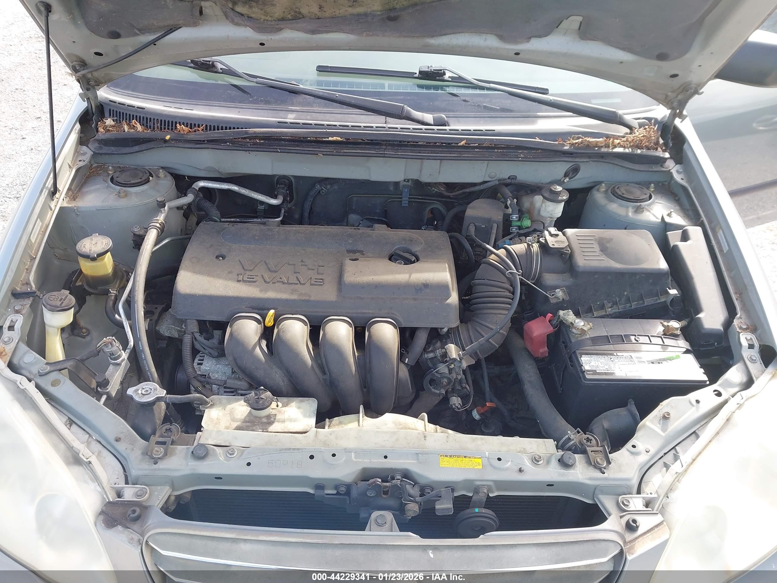 TOYOTA COROLLA image 10