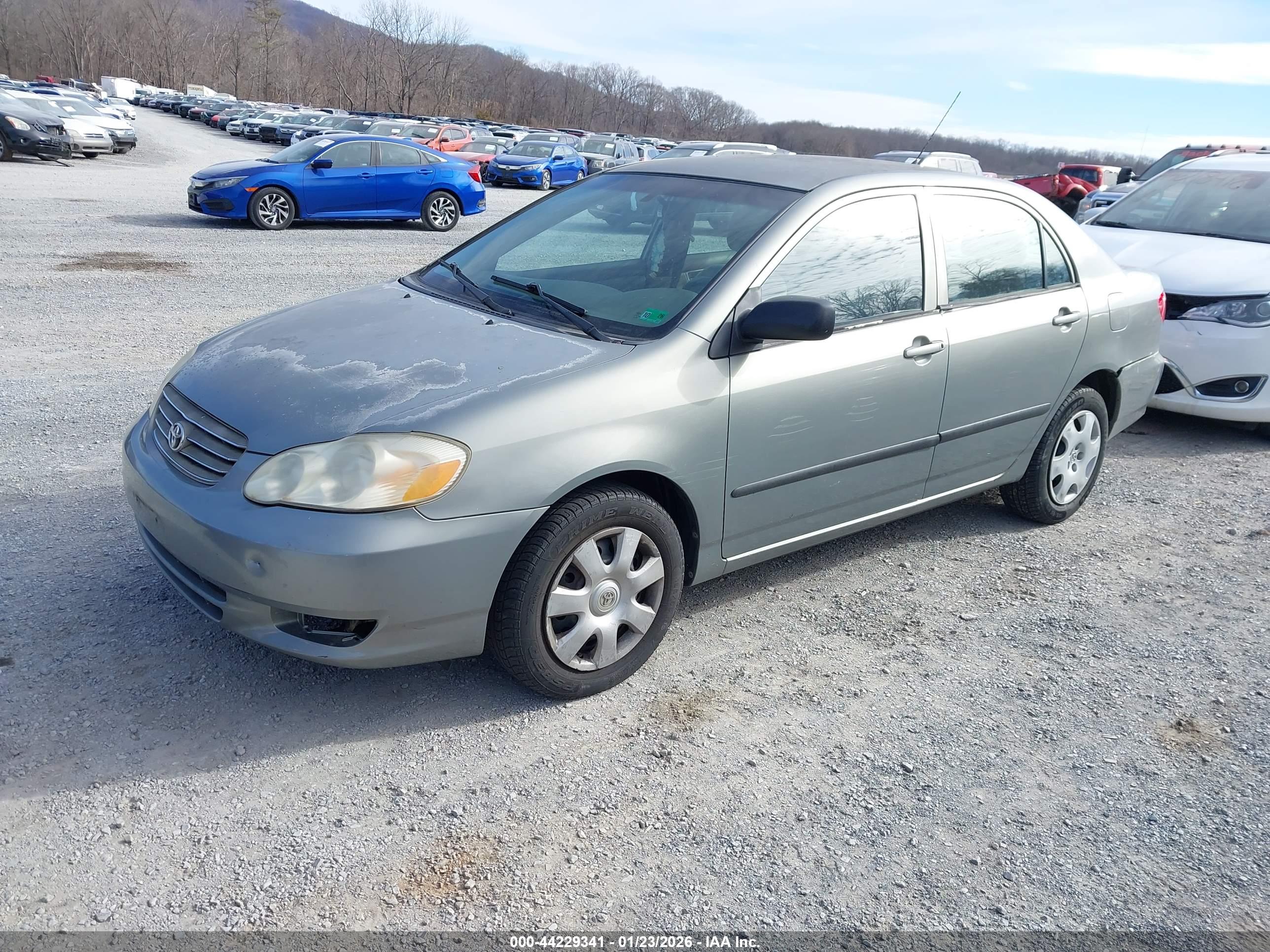 TOYOTA COROLLA image 2