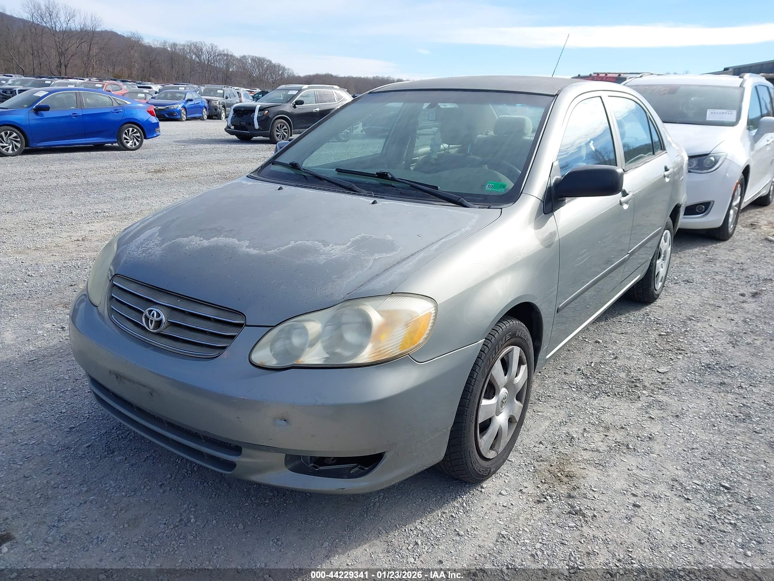 TOYOTA COROLLA image 6