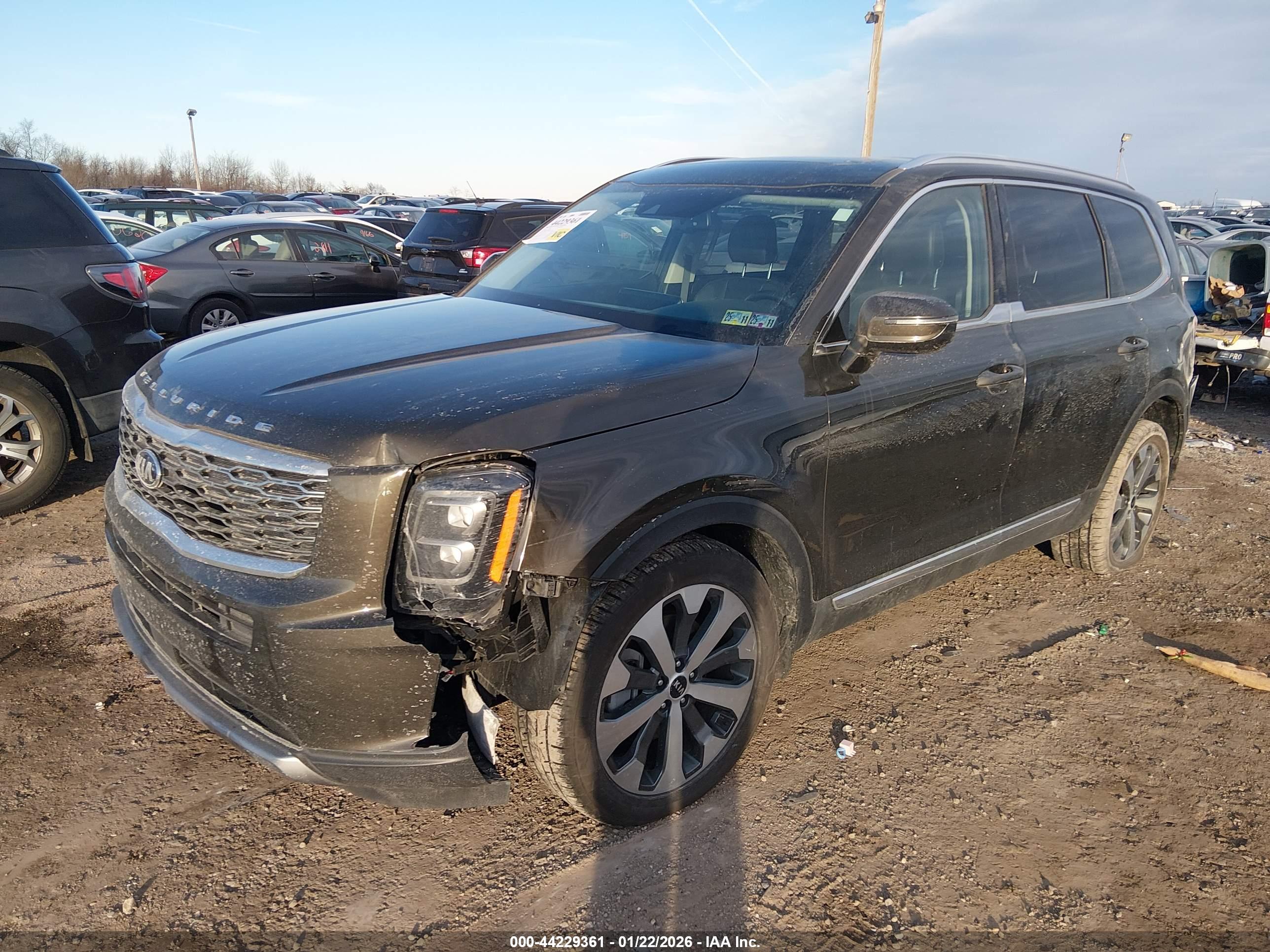 KIA TELLURIDE image 2