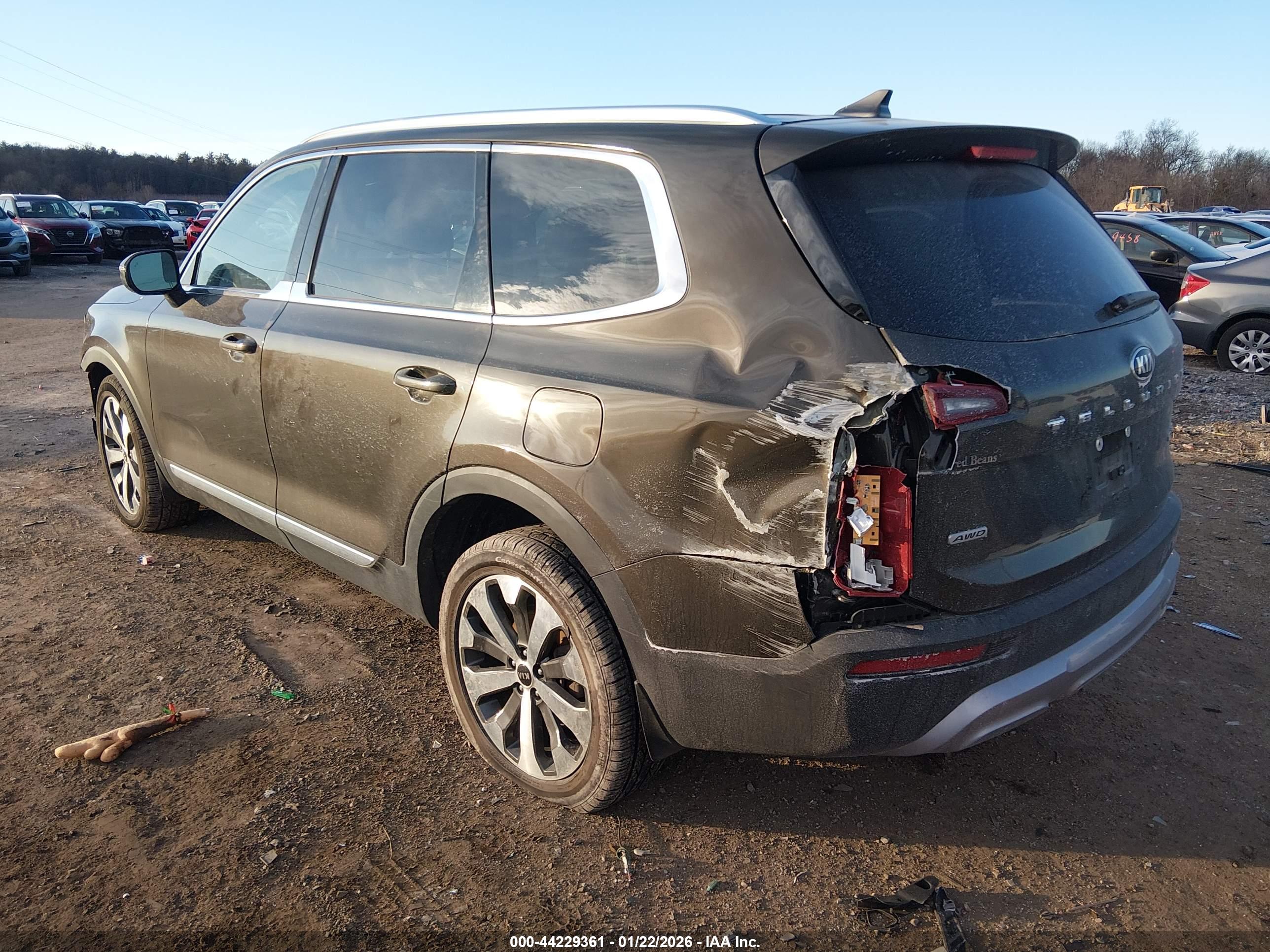KIA TELLURIDE image 3