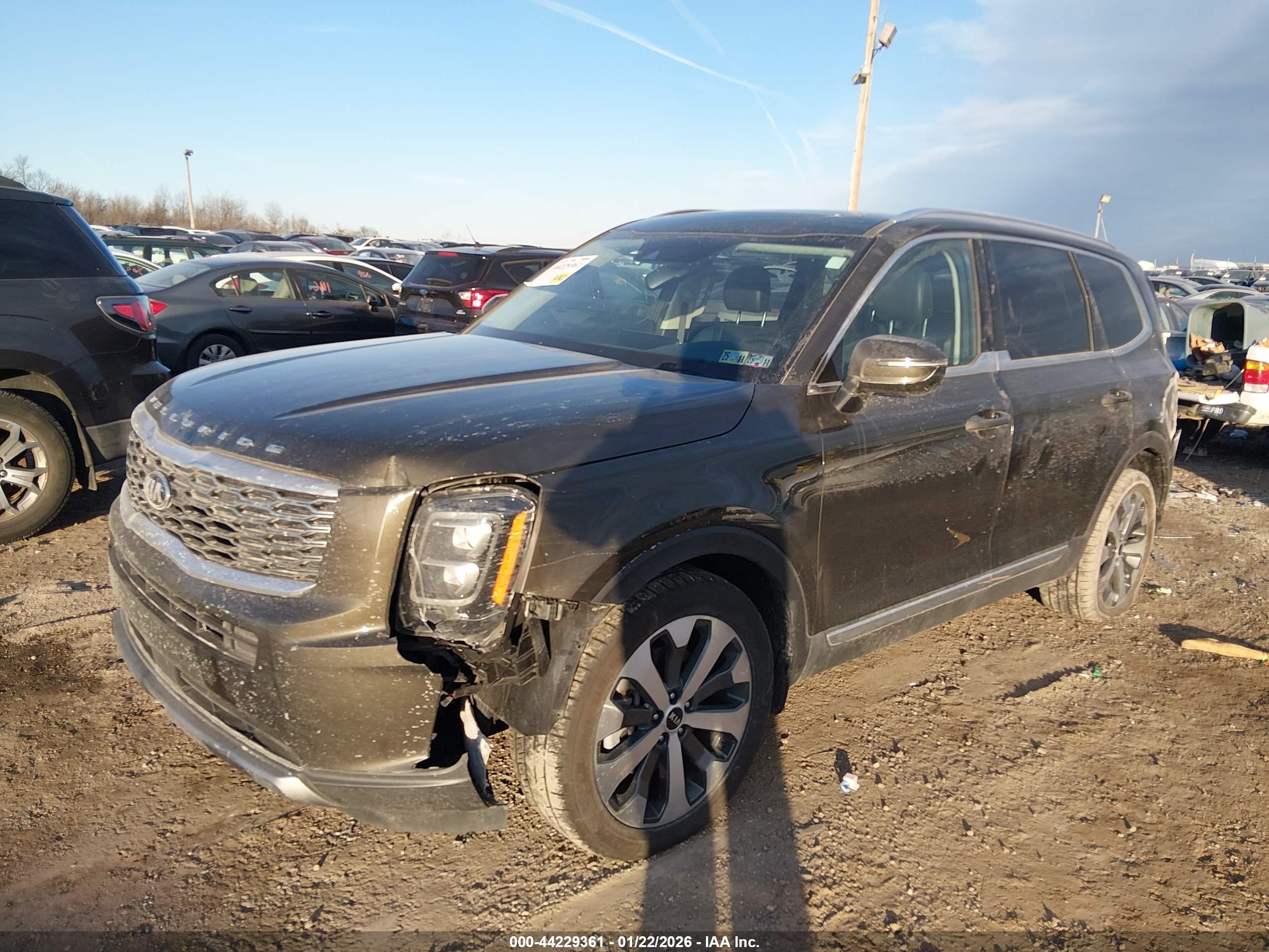 KIA TELLURIDE image 6