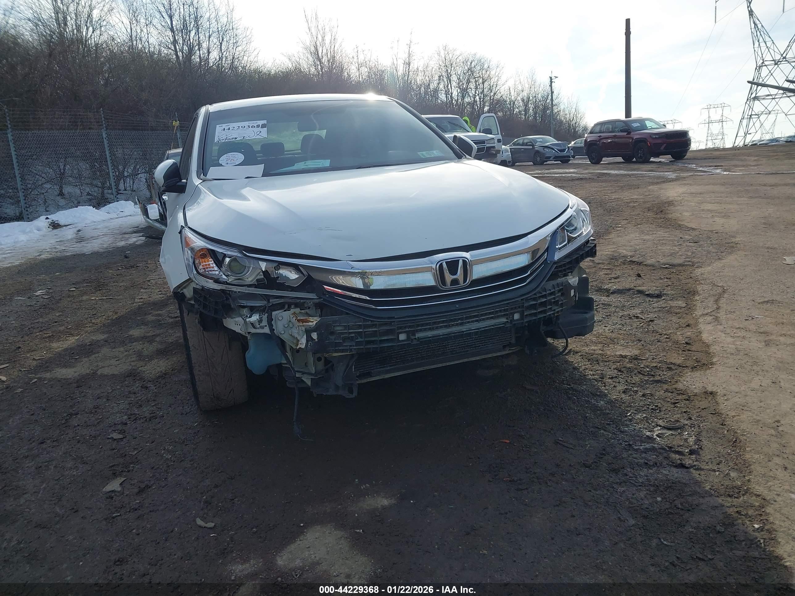 HONDA ACCORD image 6