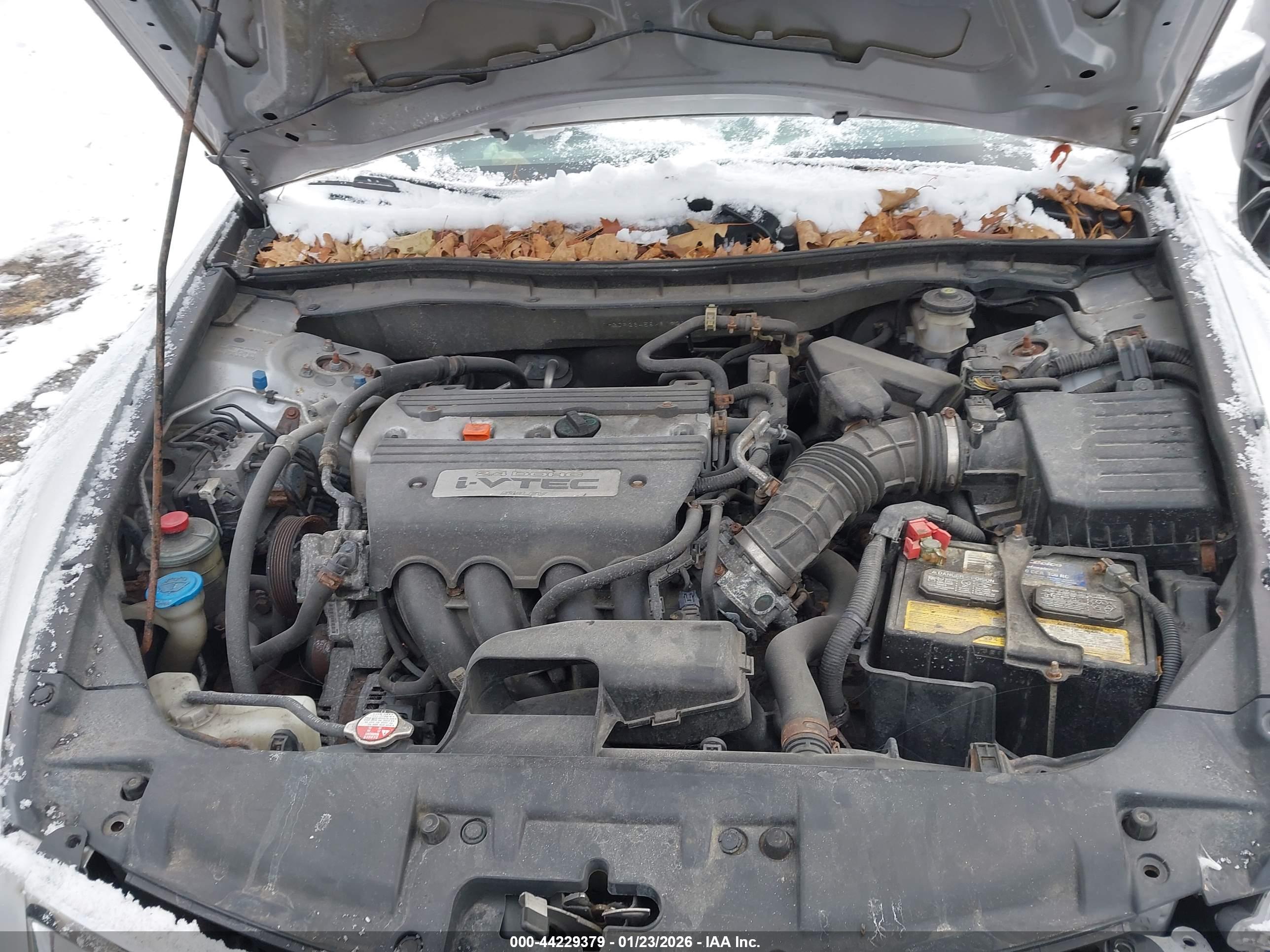 HONDA ACCORD image 10