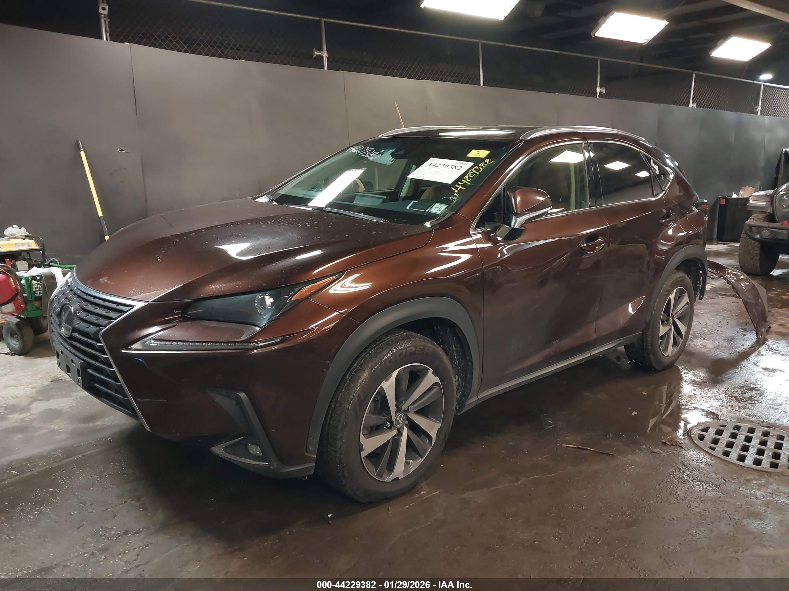 LEXUS NX image 2
