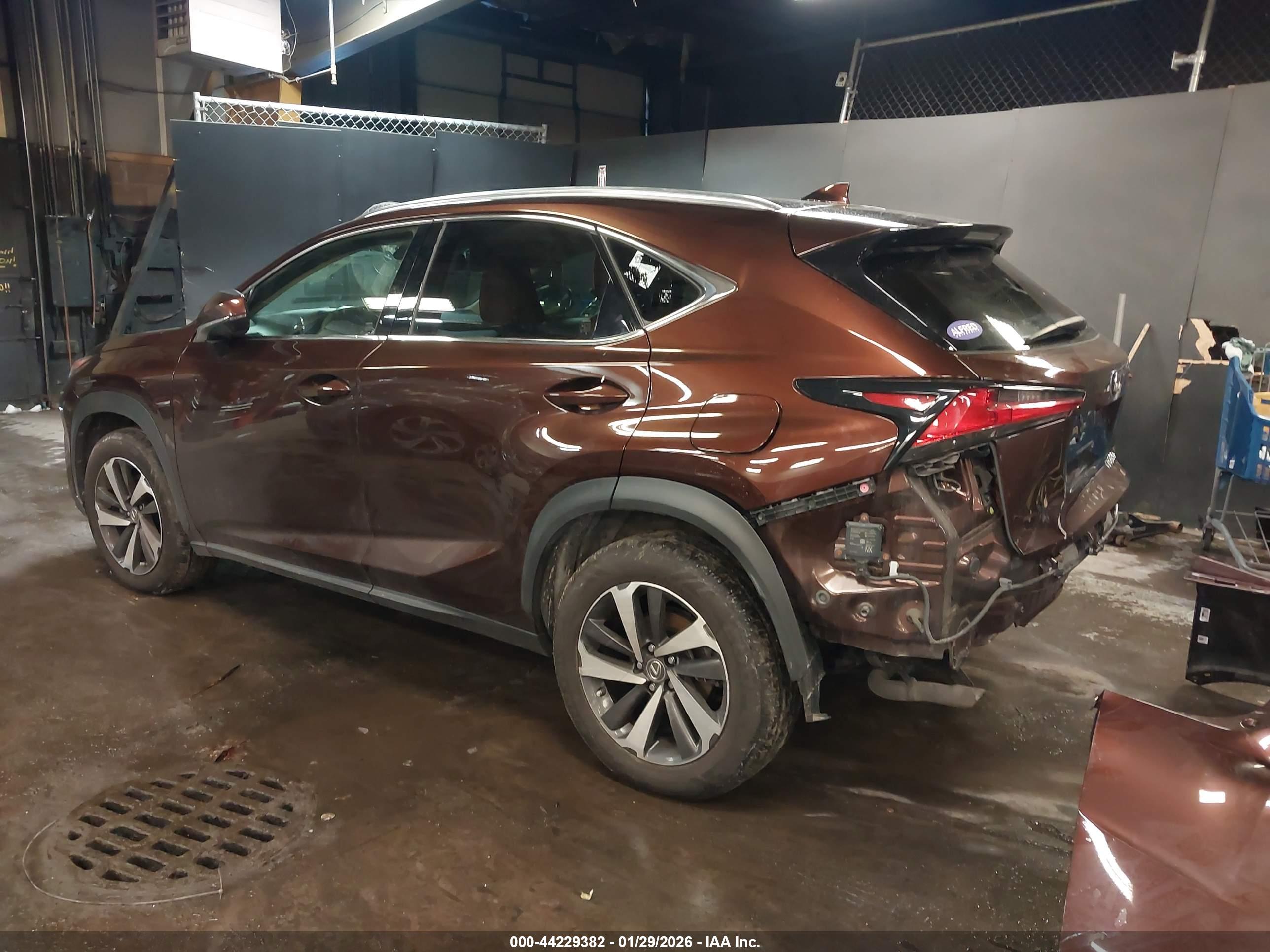 LEXUS NX image 3