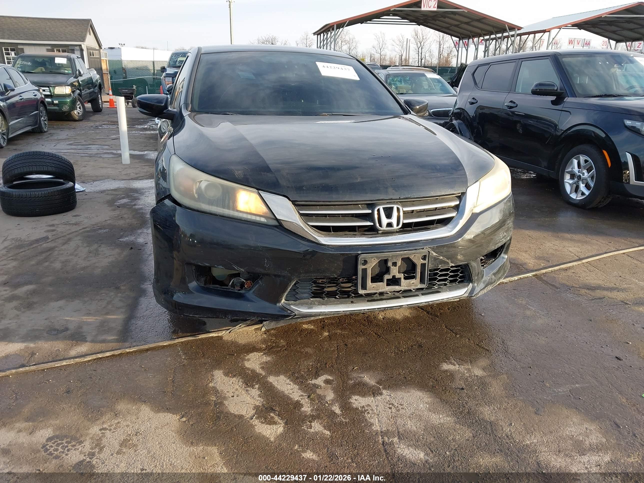 HONDA ACCORD image 6