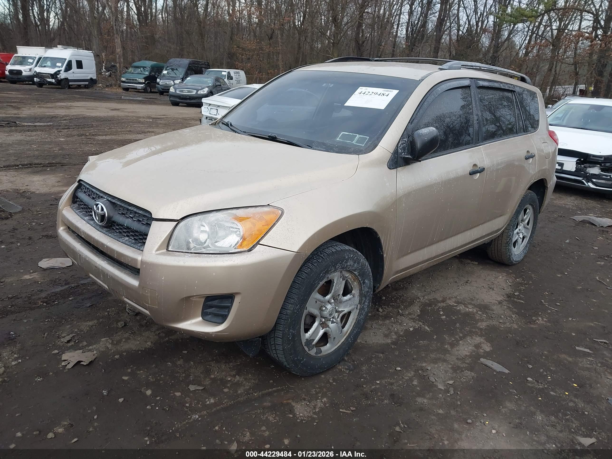 TOYOTA RAV4 image 2