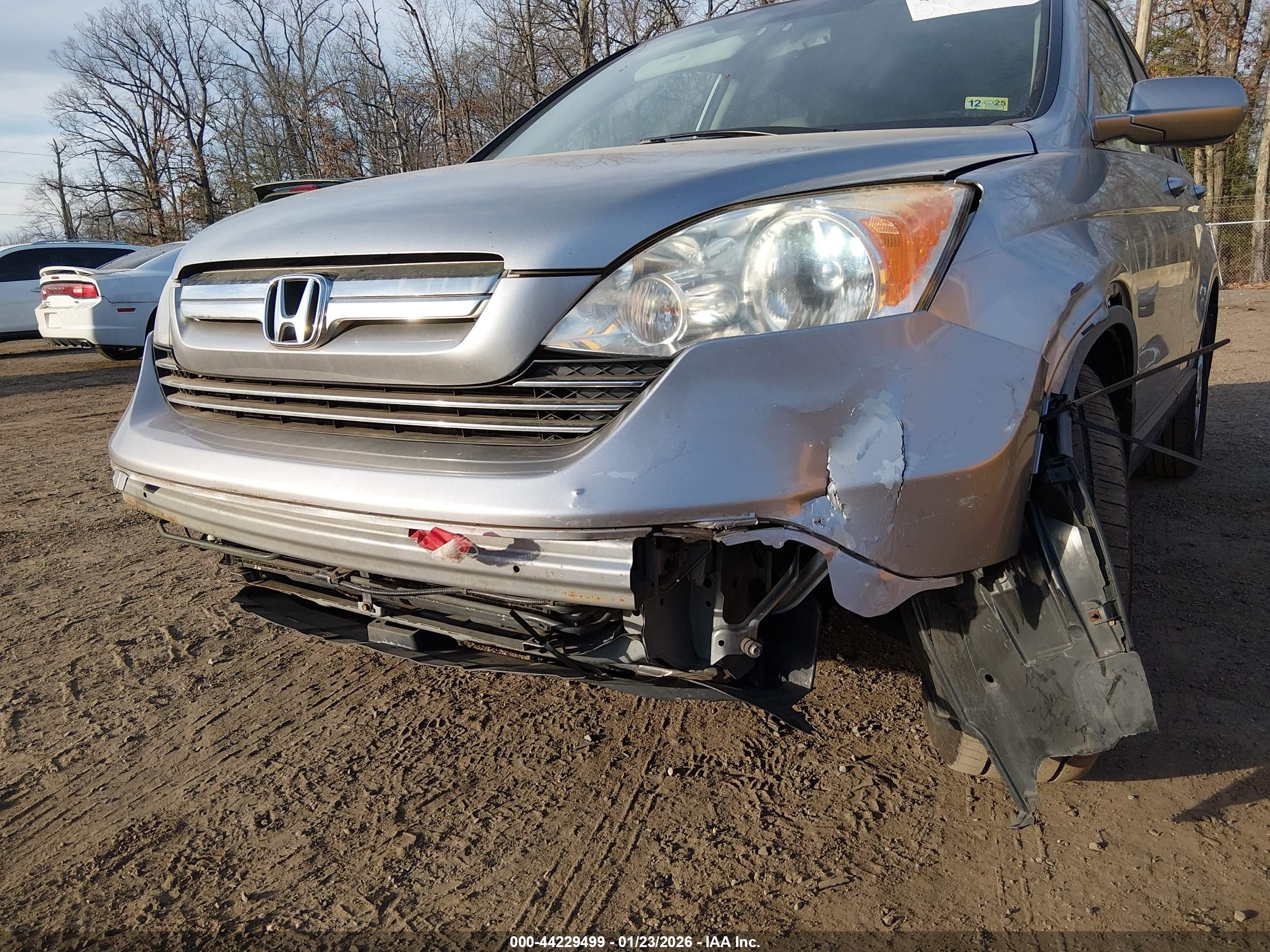 HONDA CR-V image 6