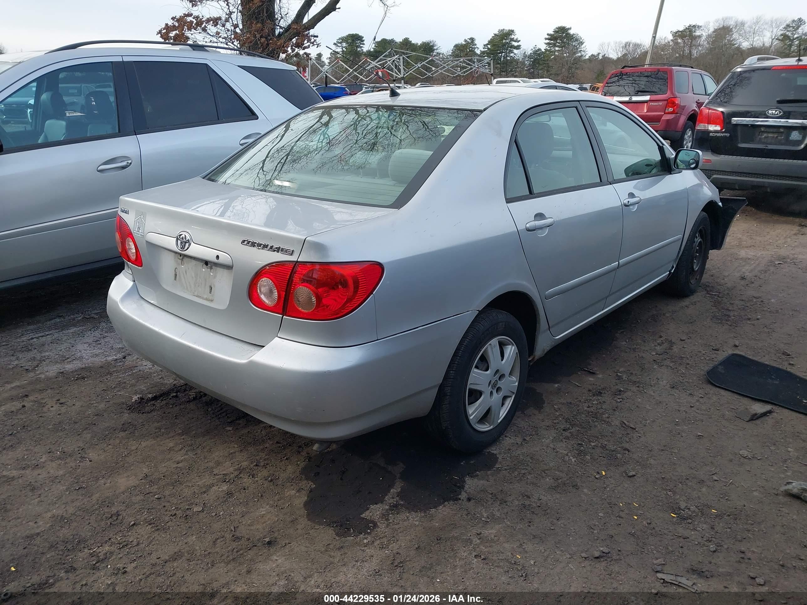 TOYOTA COROLLA image 4
