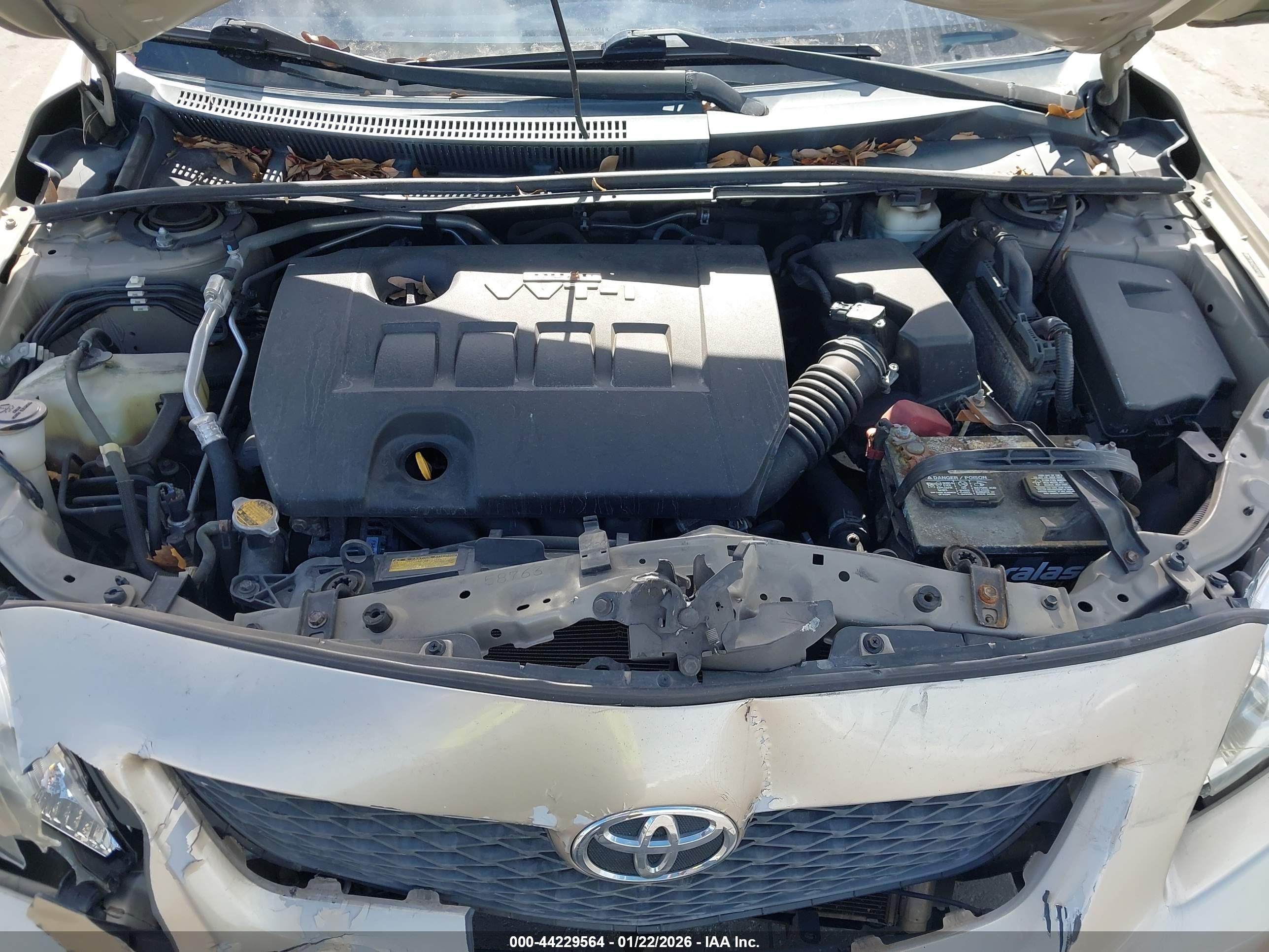 TOYOTA COROLLA image 10