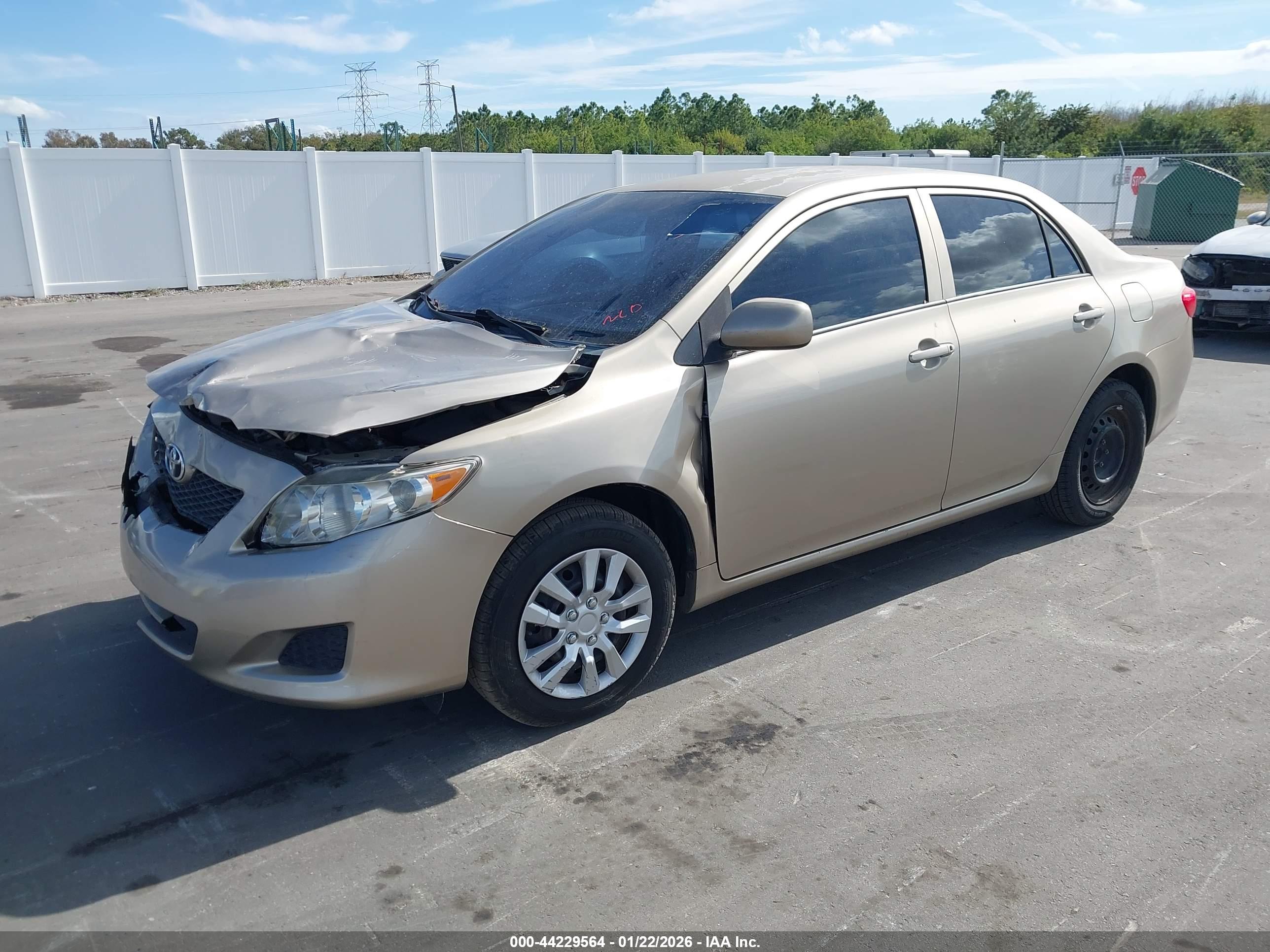 TOYOTA COROLLA image 2
