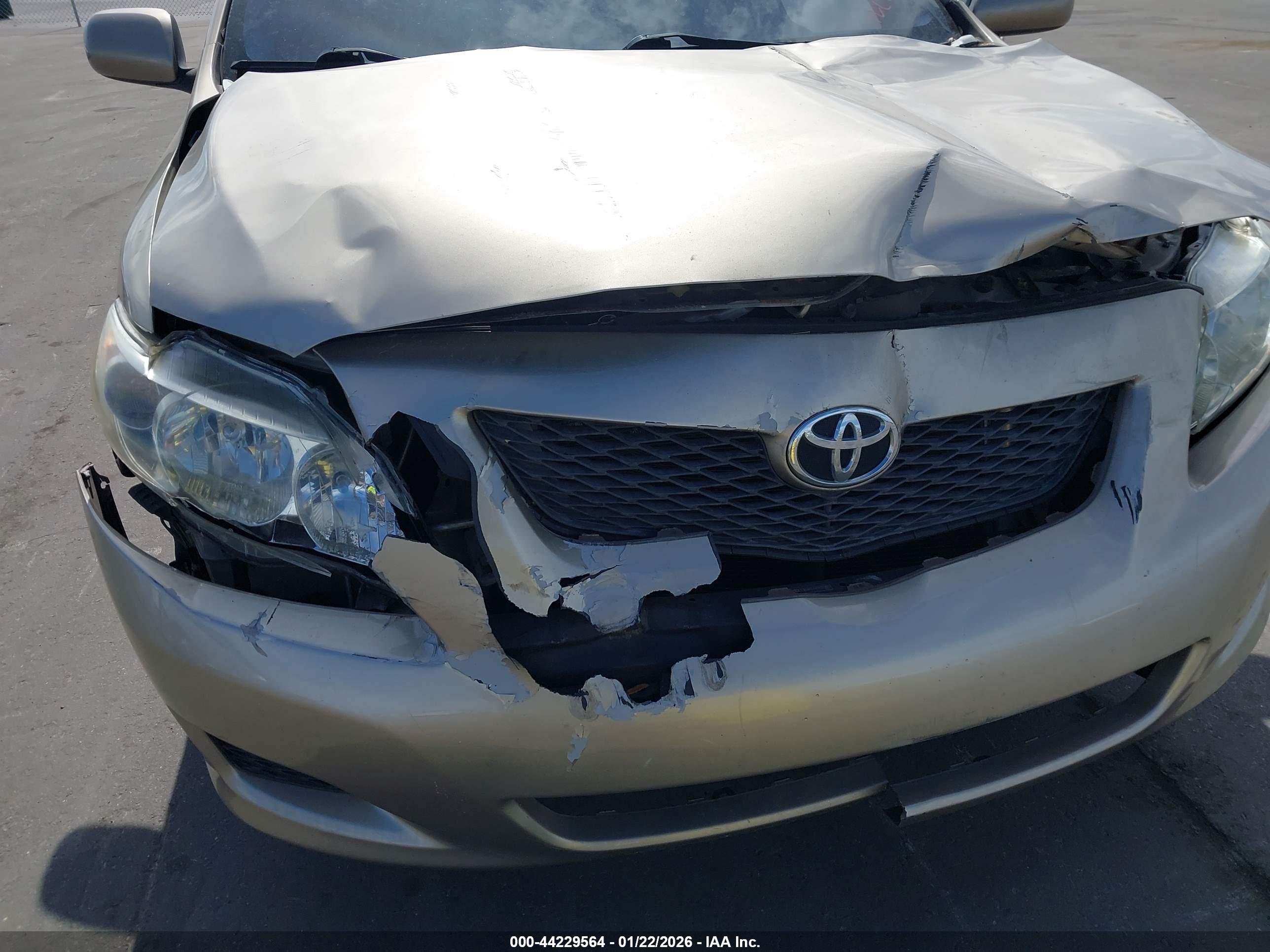 TOYOTA COROLLA image 6