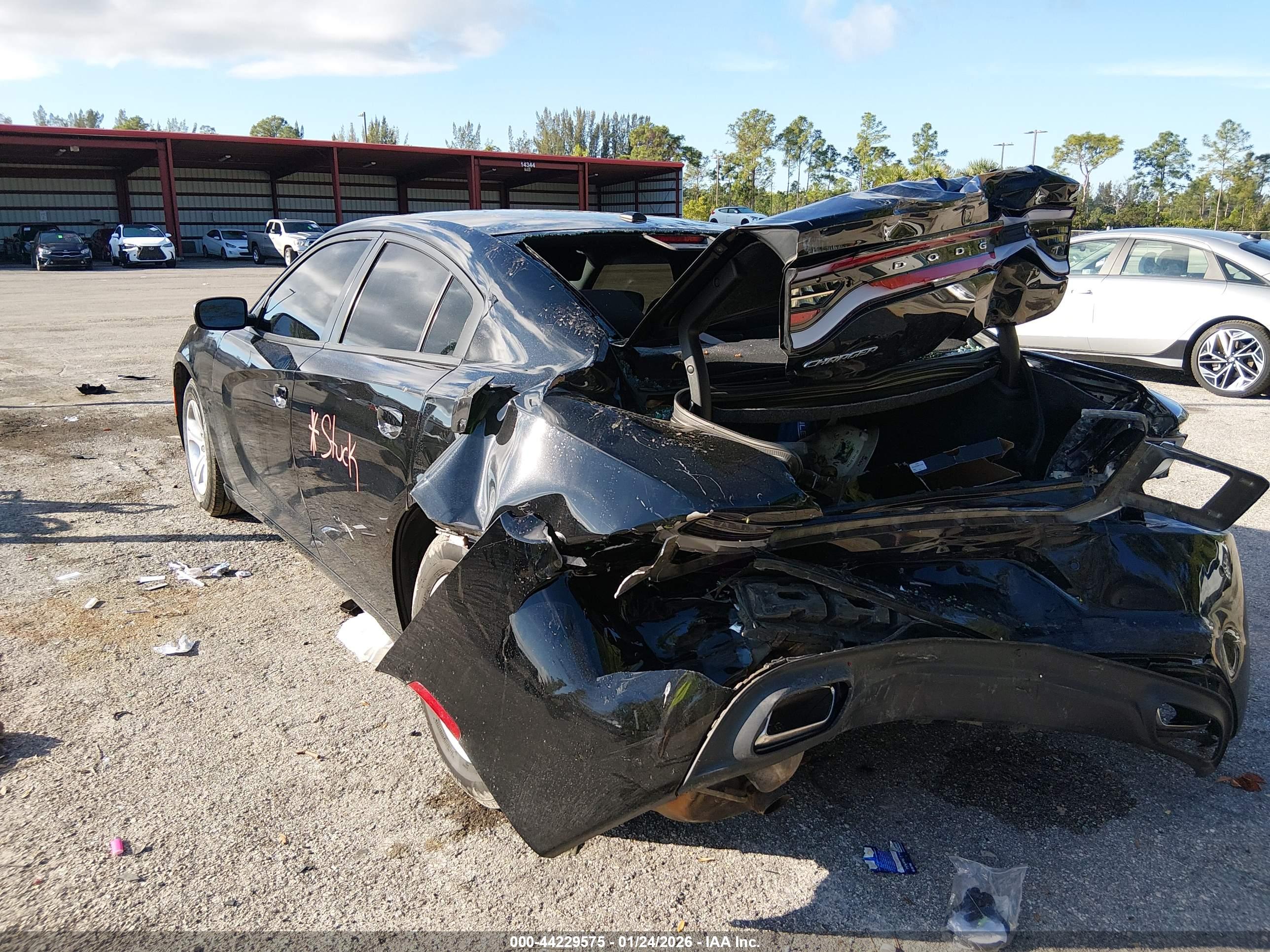 DODGE CHARGER image 3