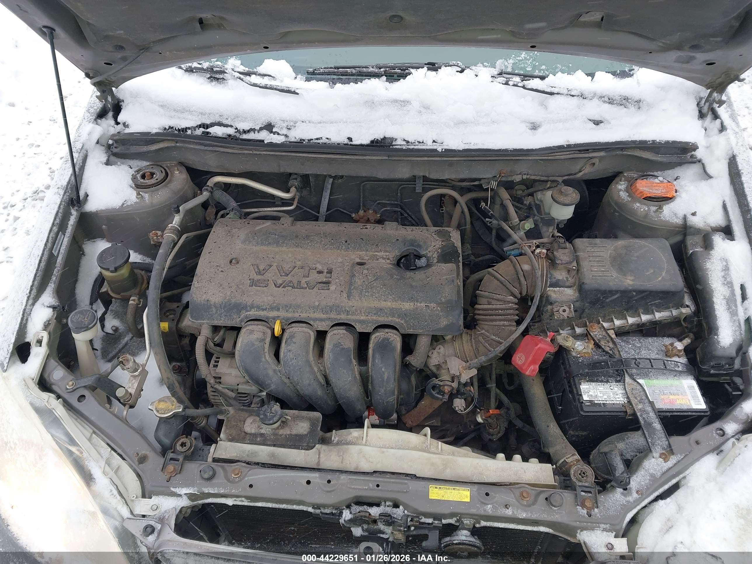 TOYOTA COROLLA image 10