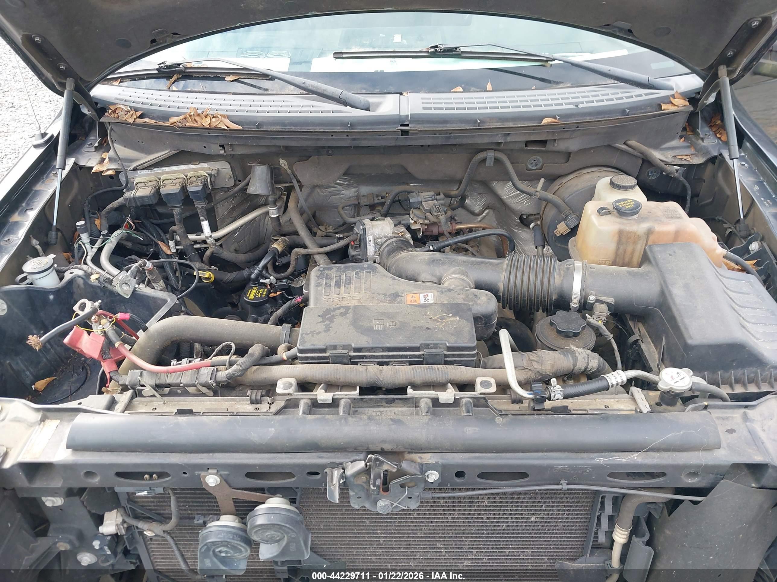 FORD F-150 image 10