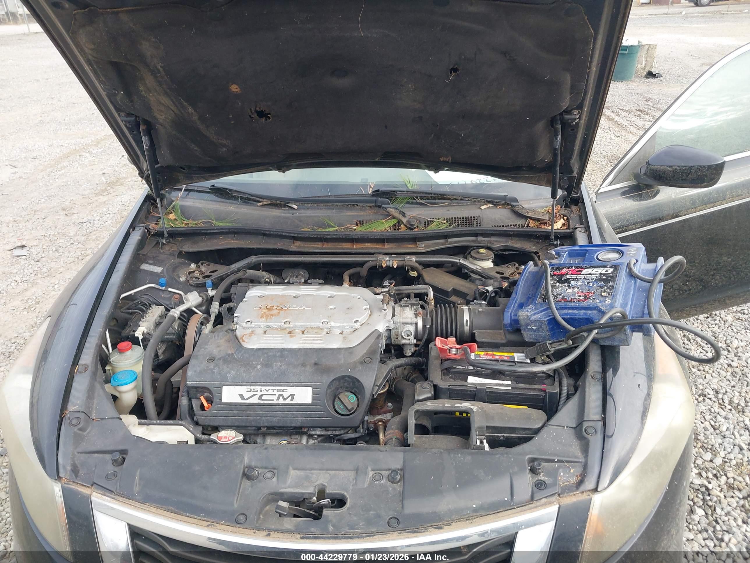 HONDA ACCORD image 10
