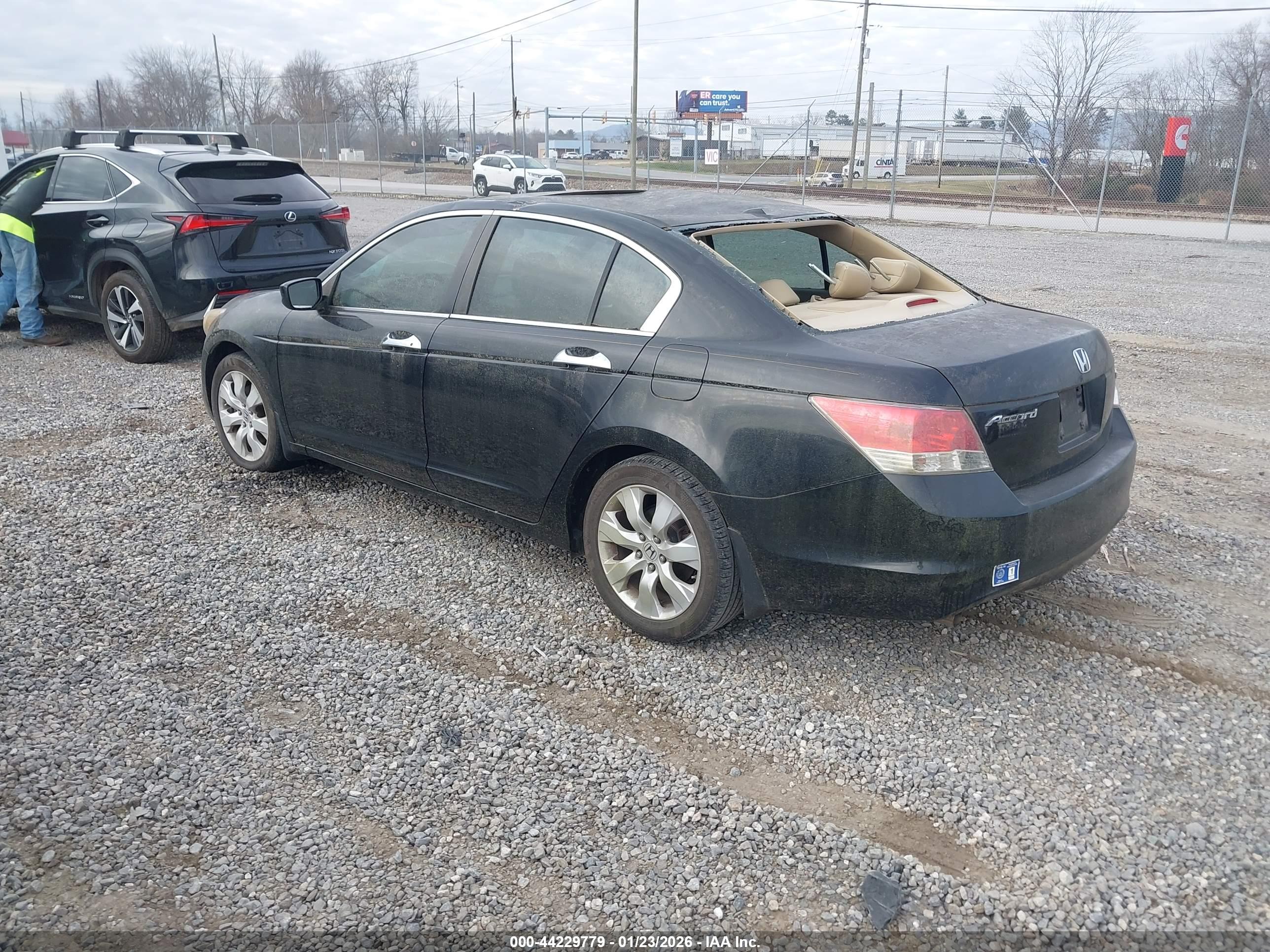 HONDA ACCORD image 3