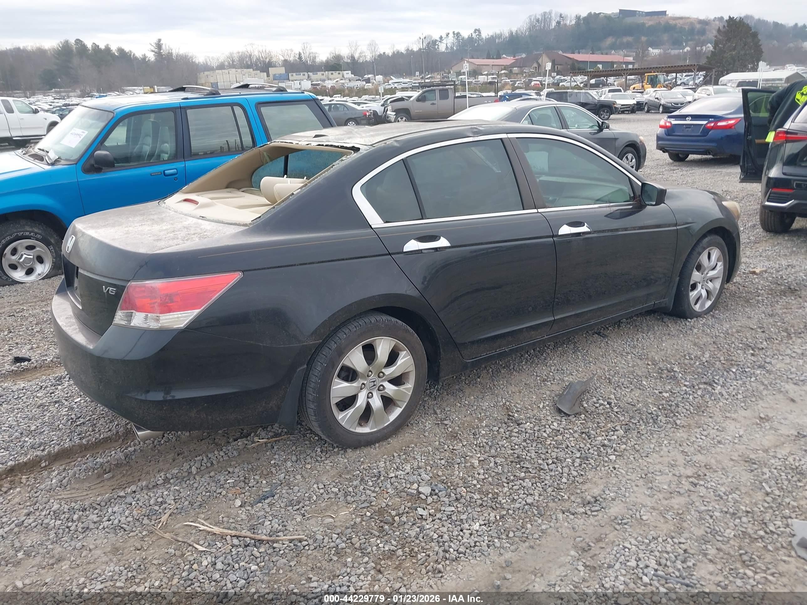 HONDA ACCORD image 4