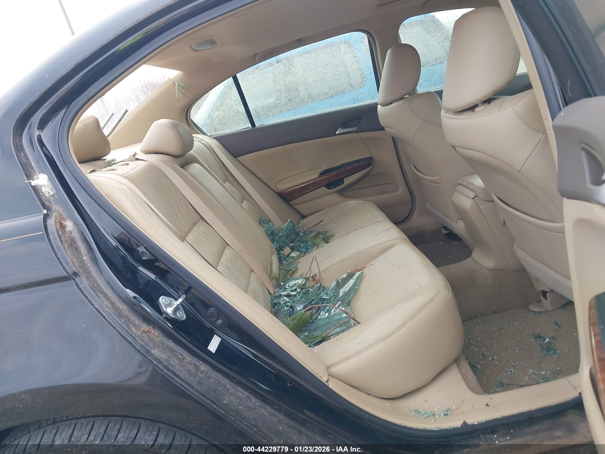HONDA ACCORD image 8