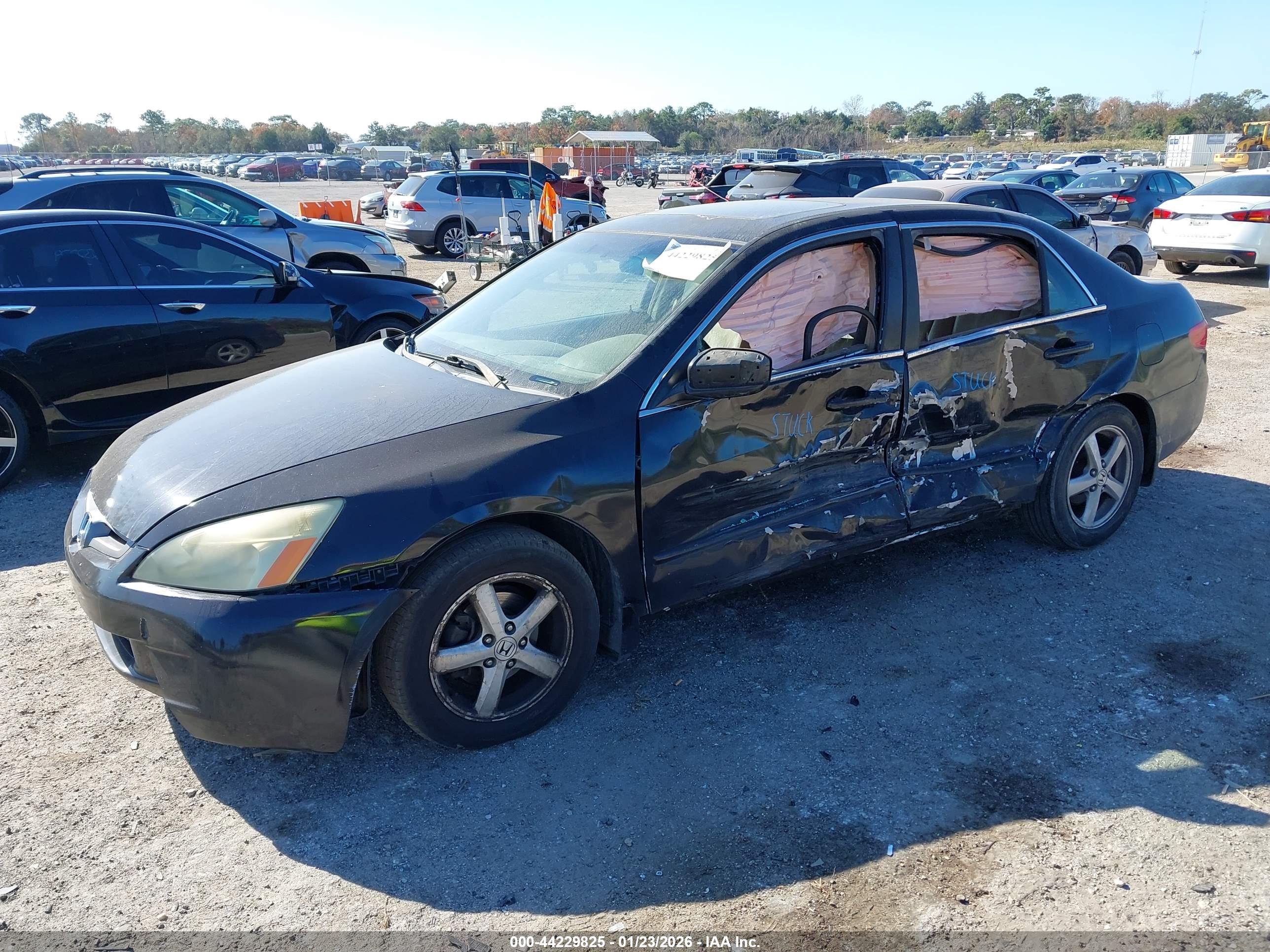 HONDA ACCORD image 2