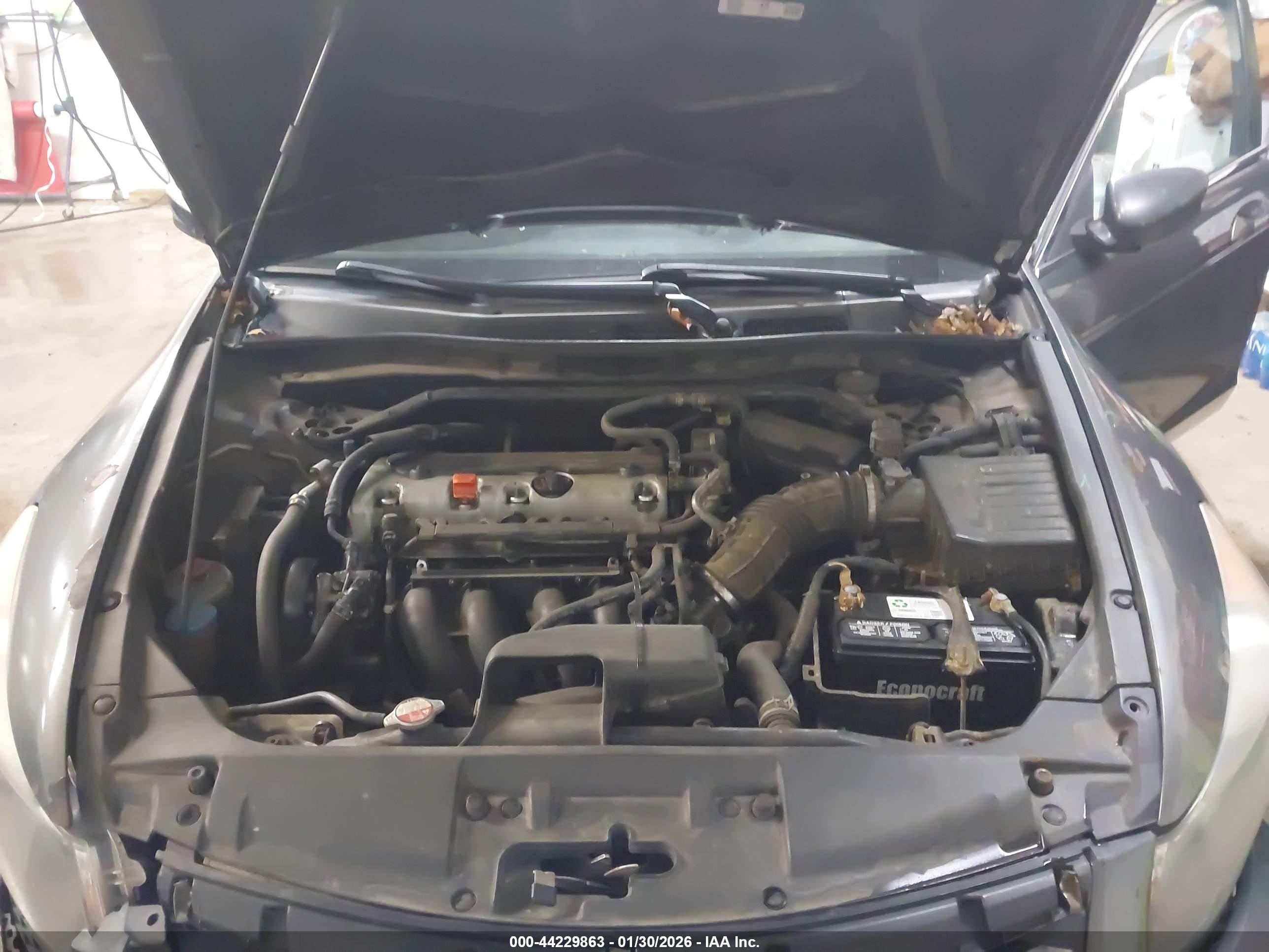 HONDA ACCORD image 10