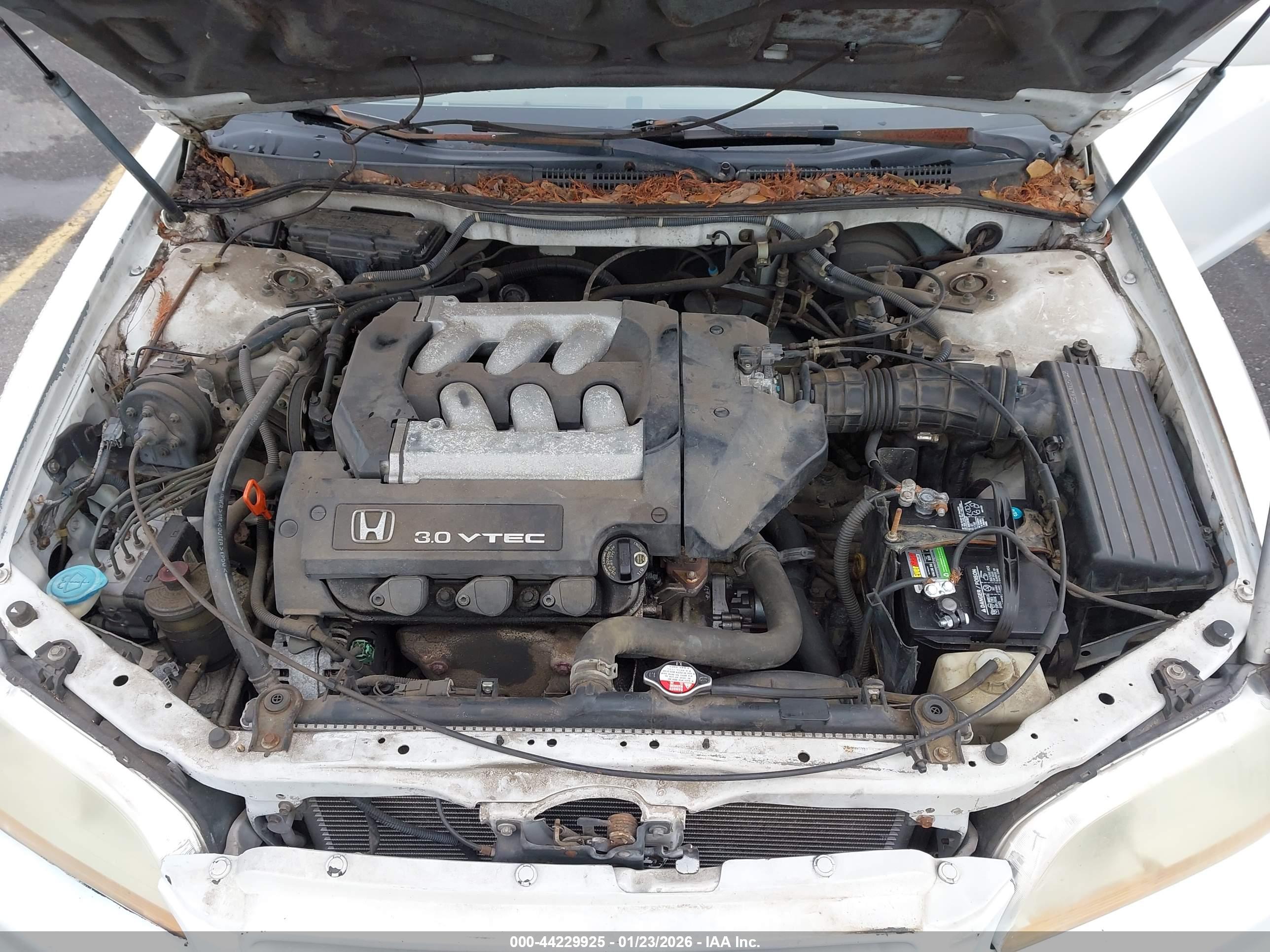 HONDA ACCORD image 10
