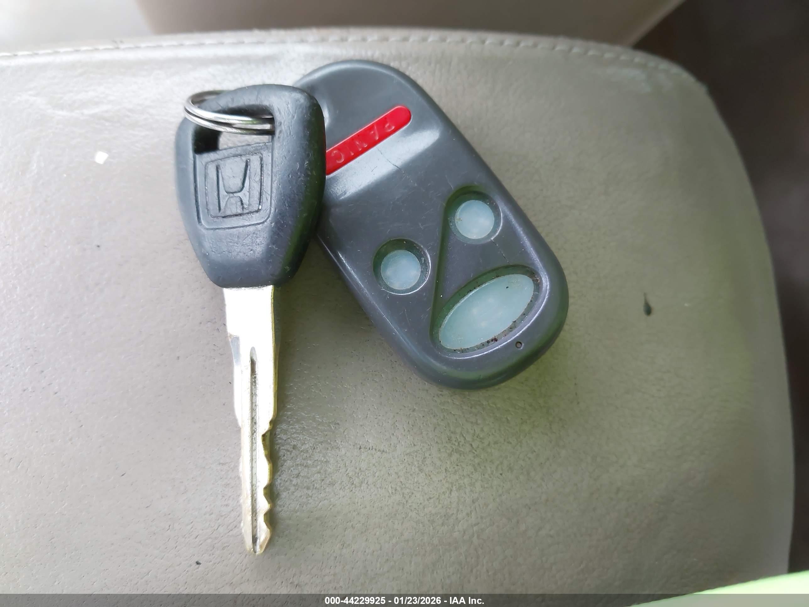 HONDA ACCORD image 11