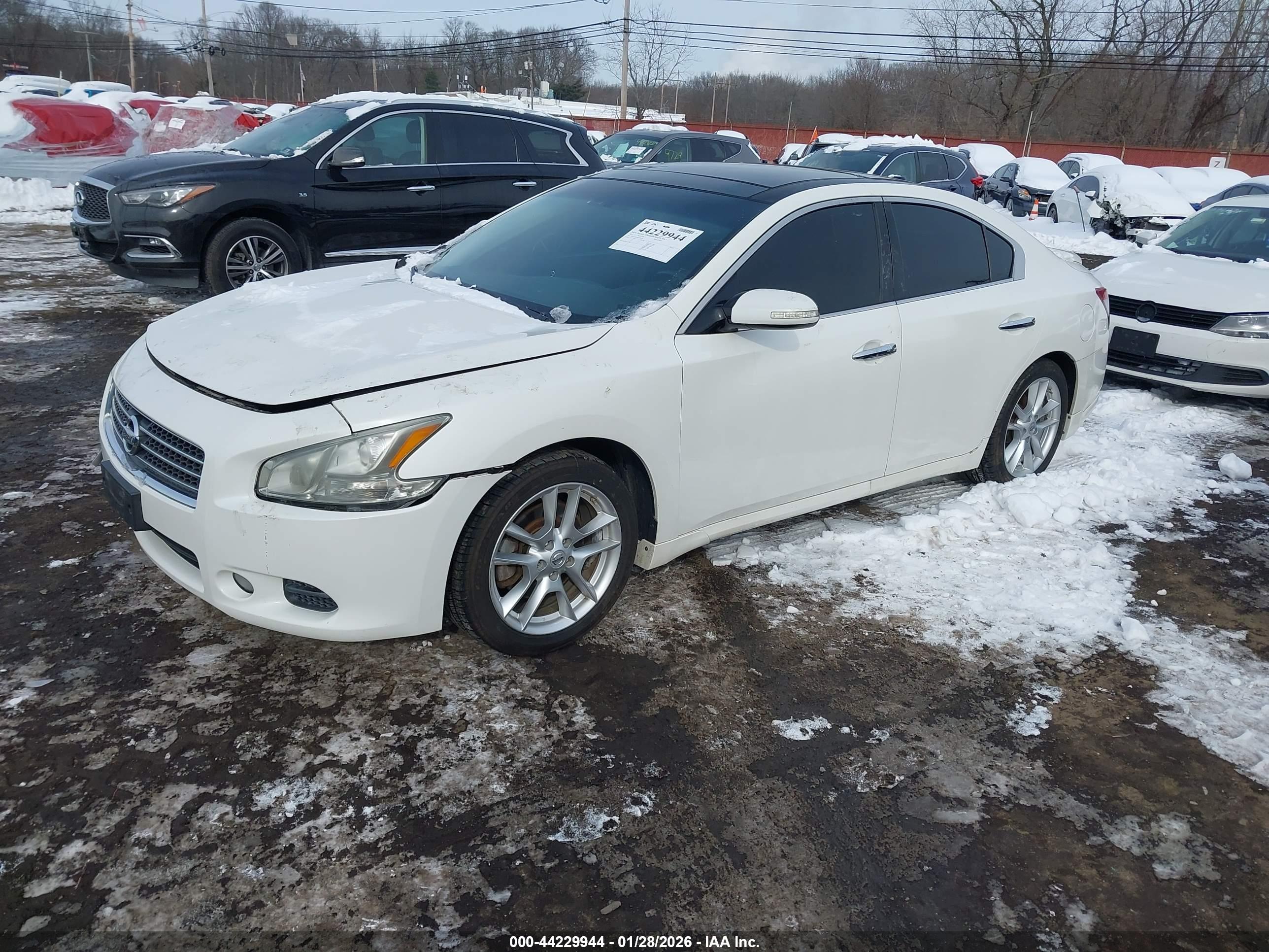 NISSAN MAXIMA image 2