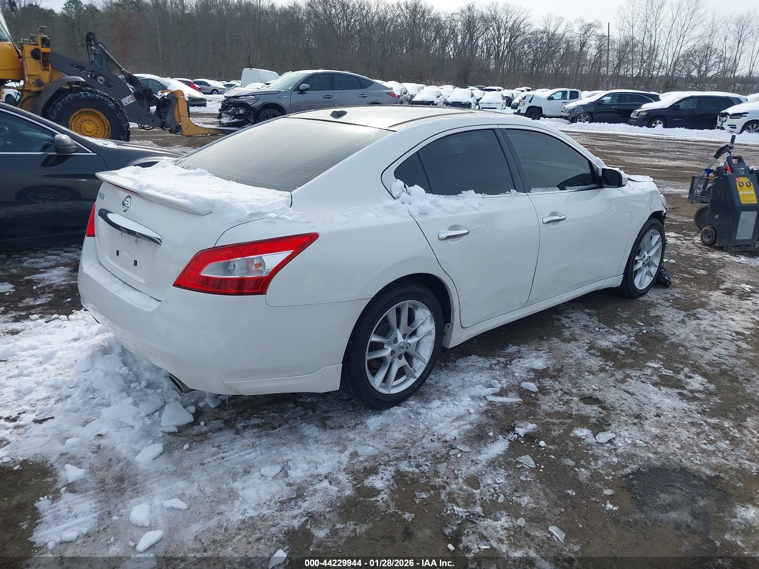 NISSAN MAXIMA image 4