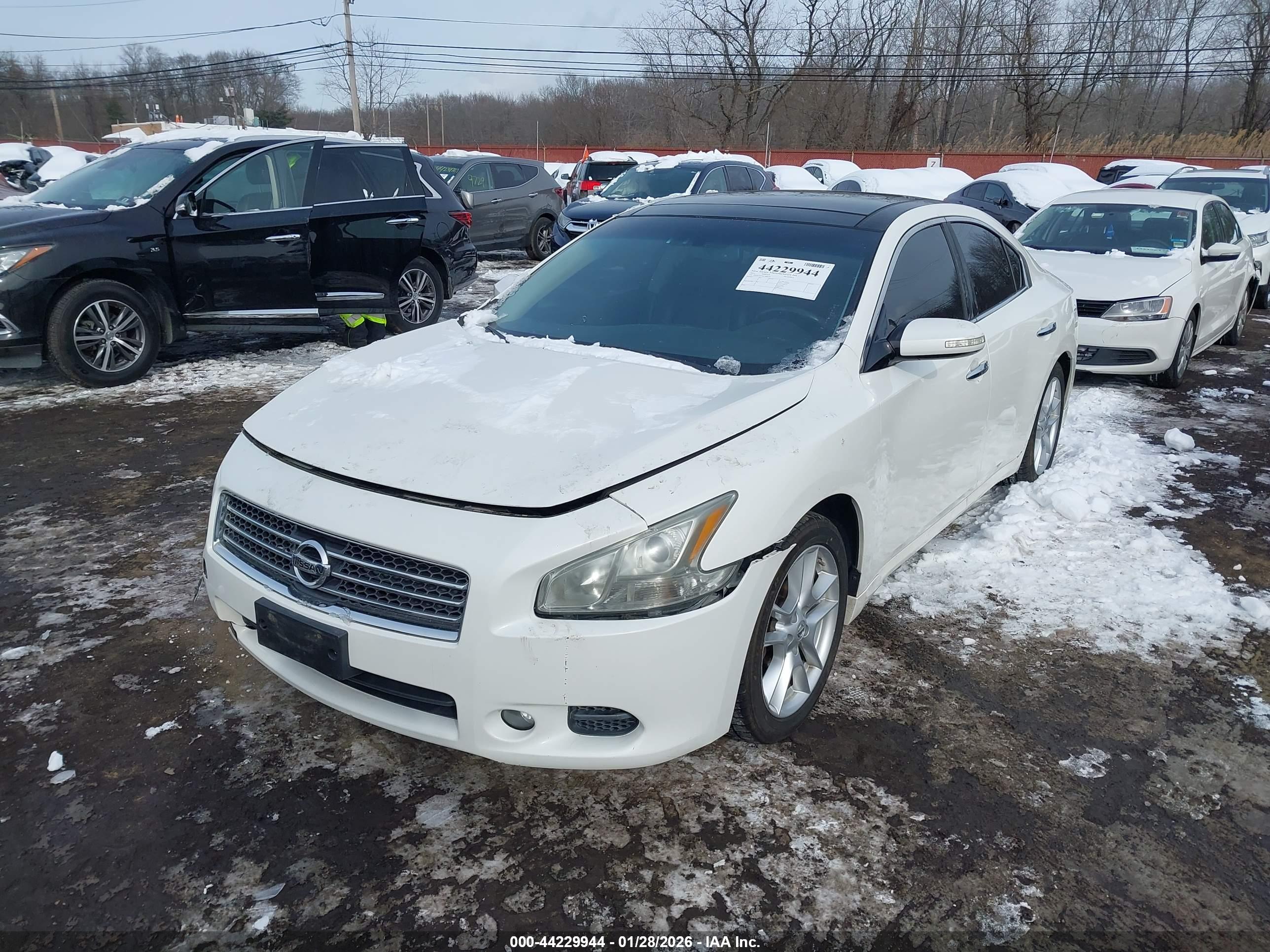 NISSAN MAXIMA image 6
