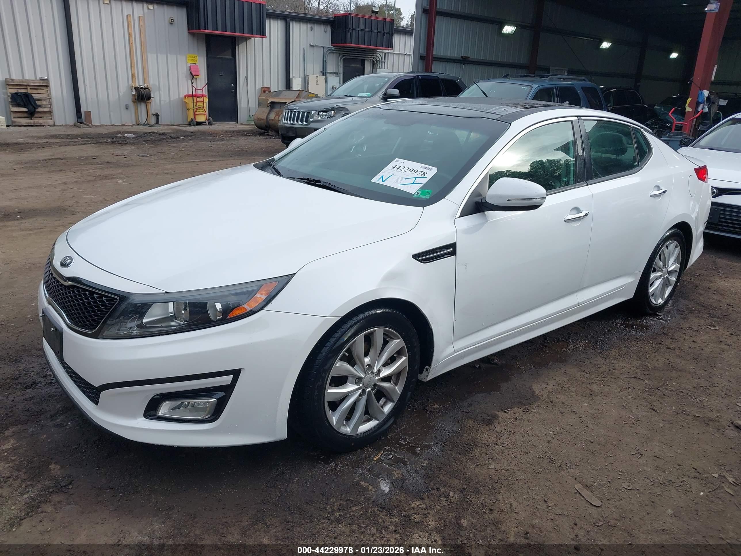 KIA OPTIMA image 2