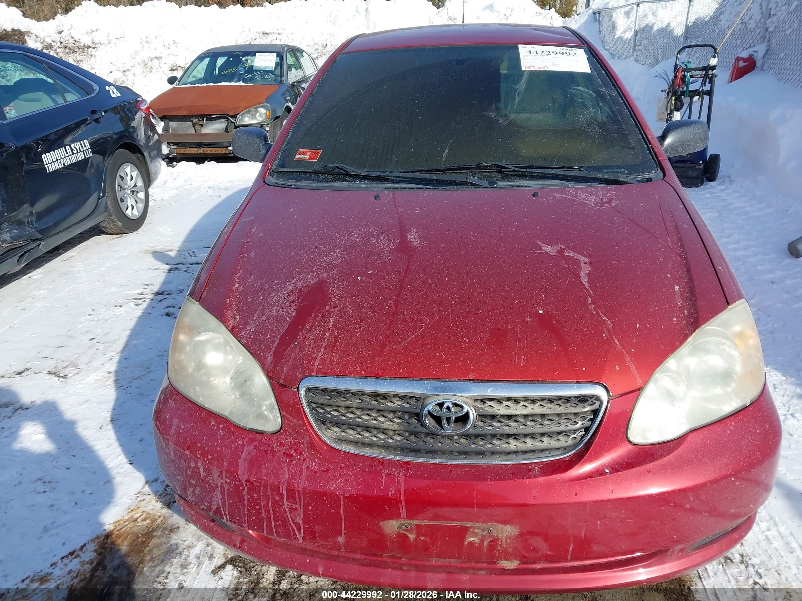 TOYOTA COROLLA image 6