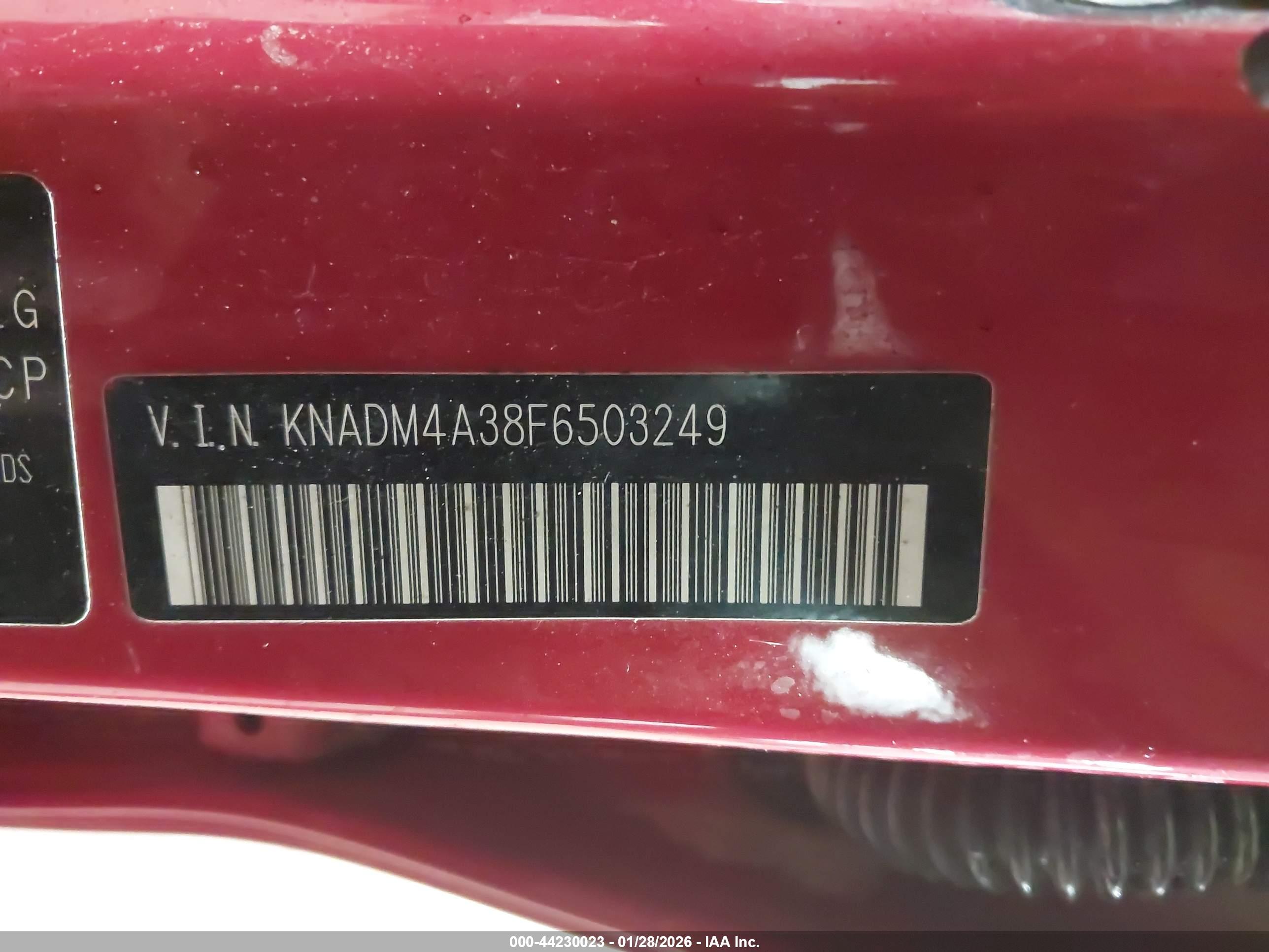 KIA RIO image 9